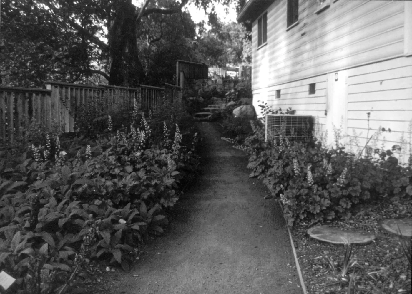 2014 AAM Accreditation Self-Study Documentation: Home Demonstration Garden (west view)