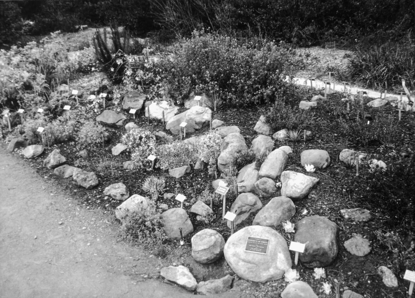 2014 AAM Accreditation Self-Study Documentation: Dudleya display