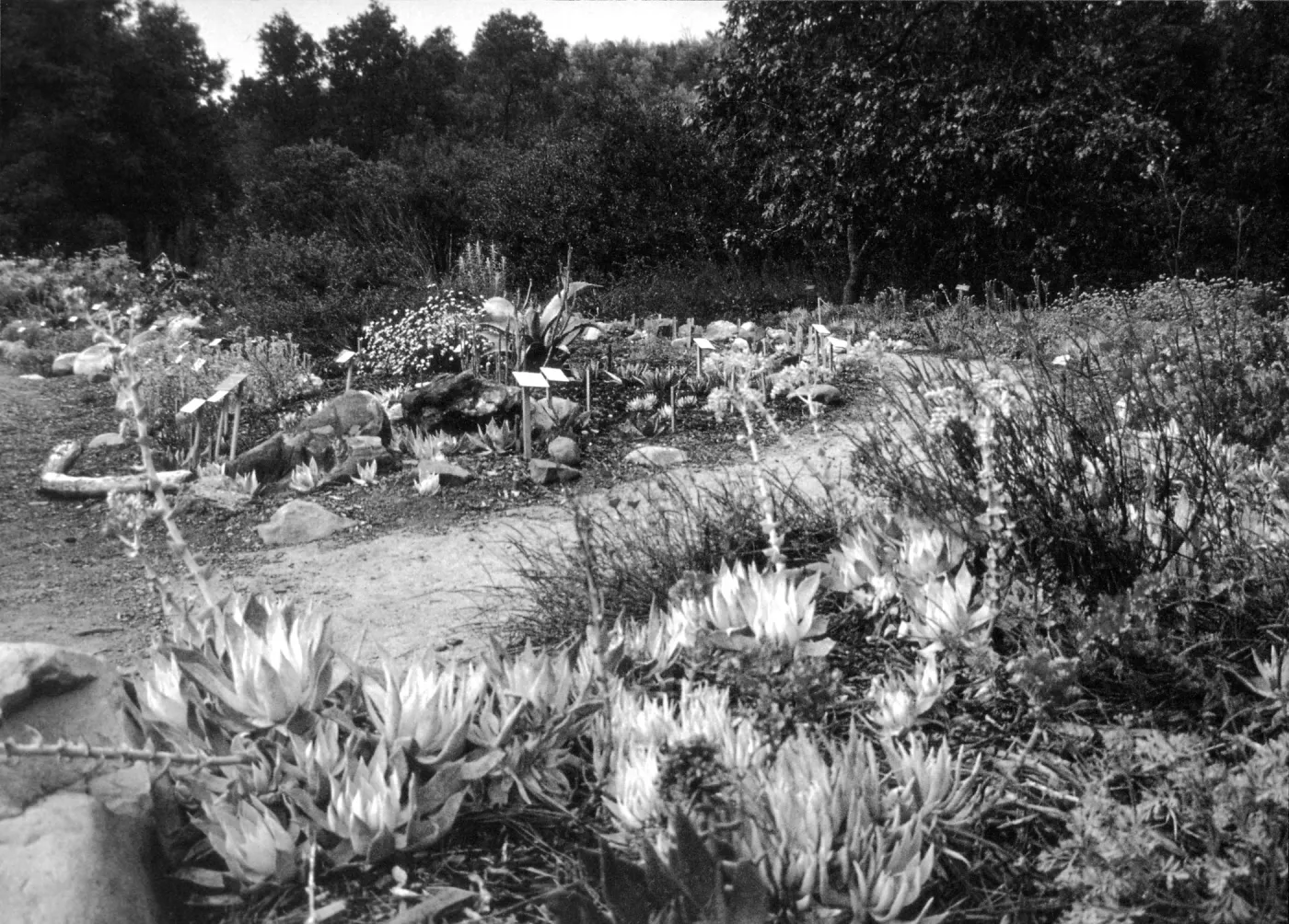 2014 AAM Accreditation Self-Study Documentation: Dudleya display