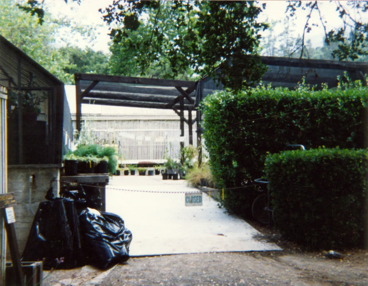 Garden Growers Nursery in late 1990s to early 2000s