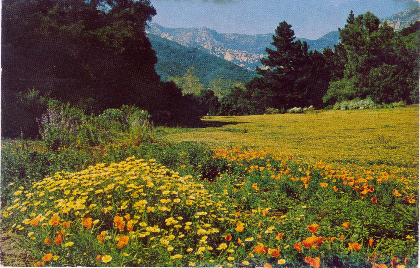 Botanic Gardens Santa Barbara