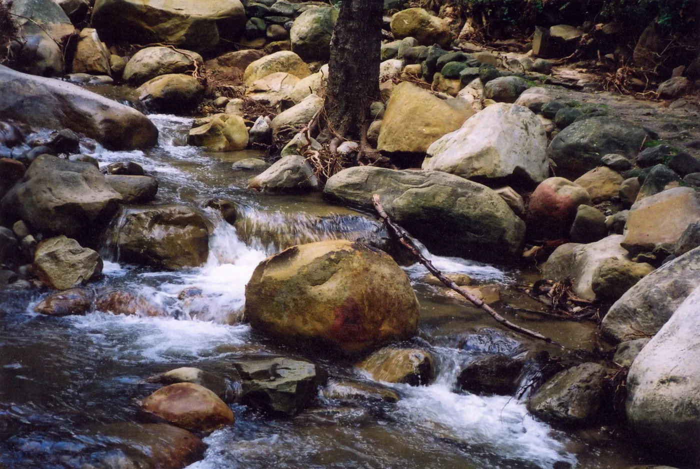 Mission Creek's Rocky Streambed