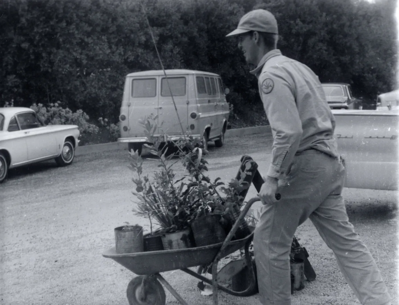 Plant Sale
