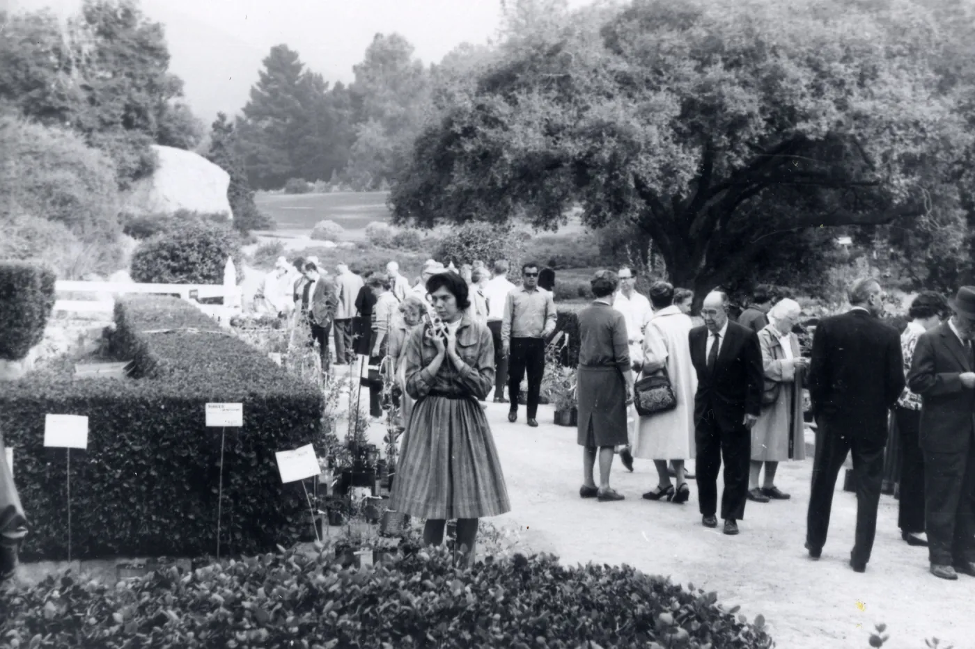 Jackie Broughton, Plant Sale