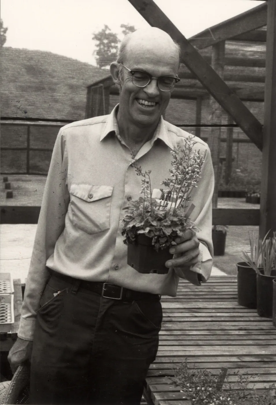 Dara Emery, spring, 1983