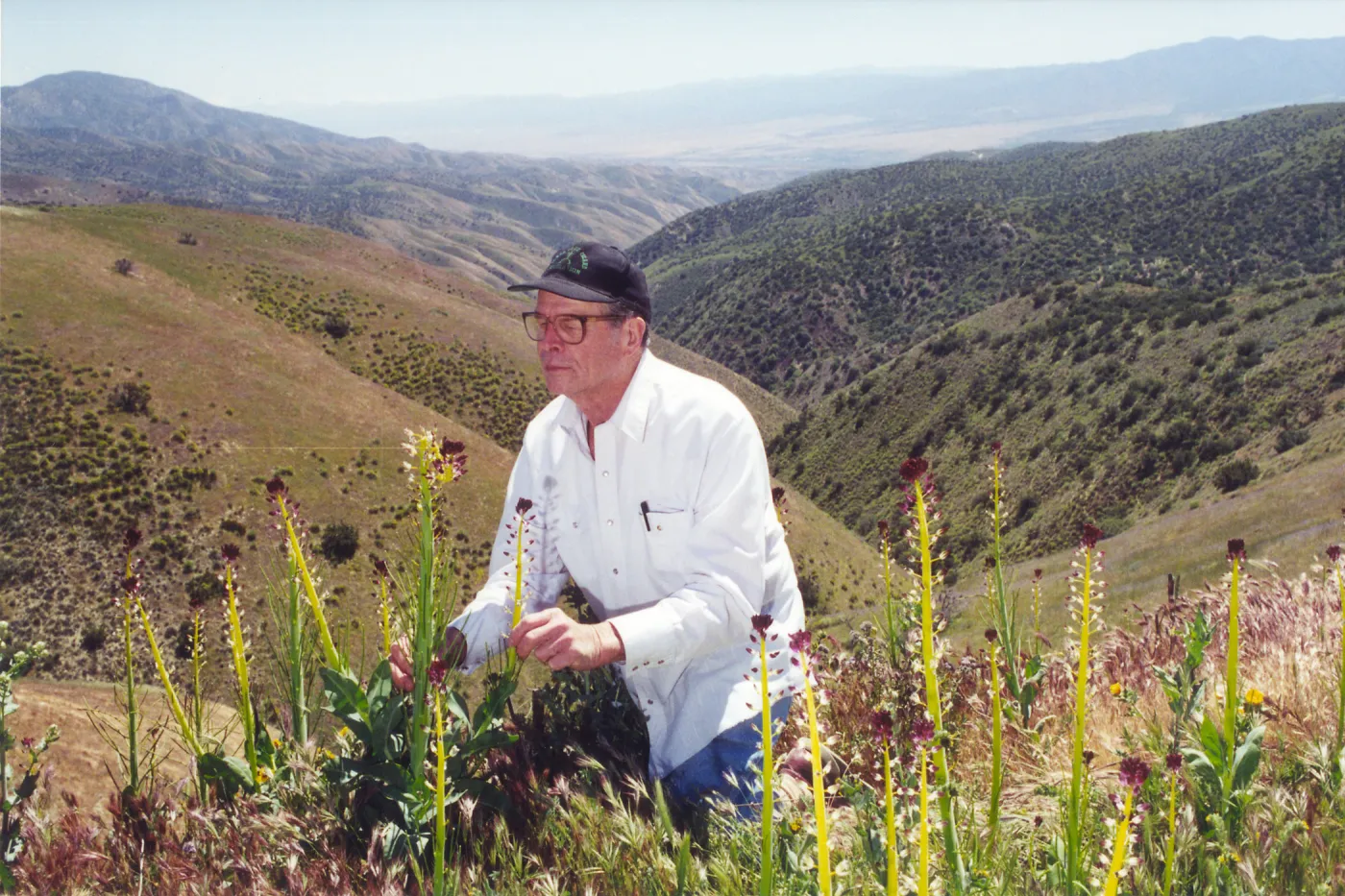 Clif Smith on his knees to one of his favorite flowers, Desert Candle, Caliente Range