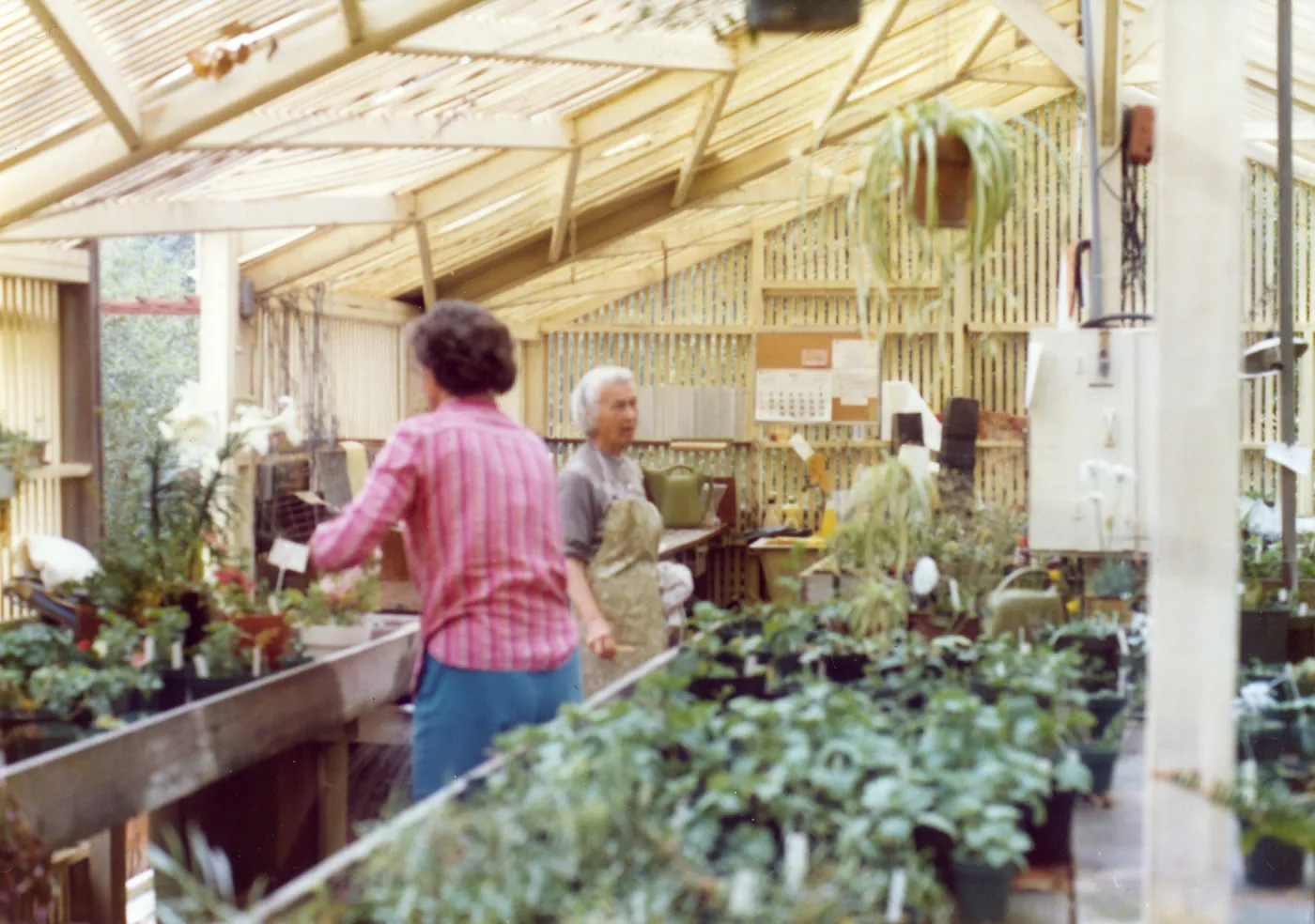 Volunteers - Garden Growers, Blair Gray, Anderson