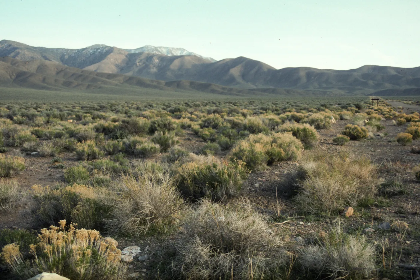 Death Valley National Park, Aguerreberryi Pt.