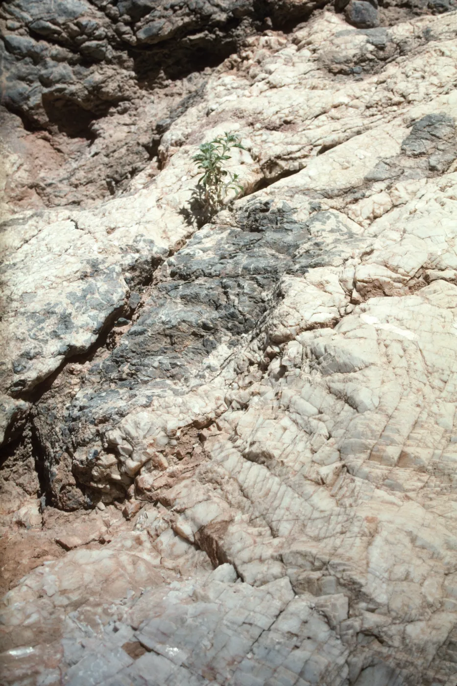 Death Valley National Park, Titus Canyon