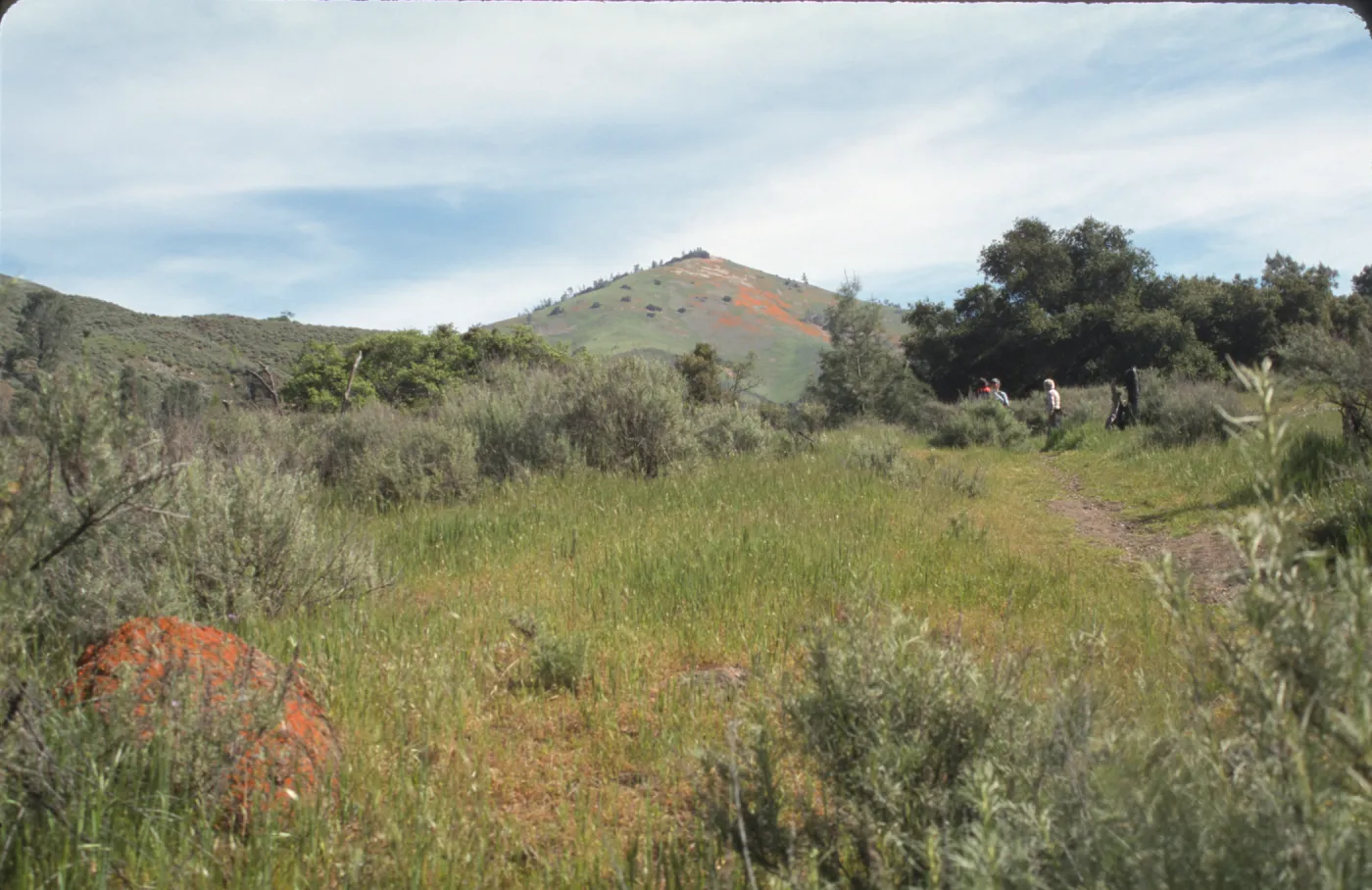 Grass Mountain with lichen rock