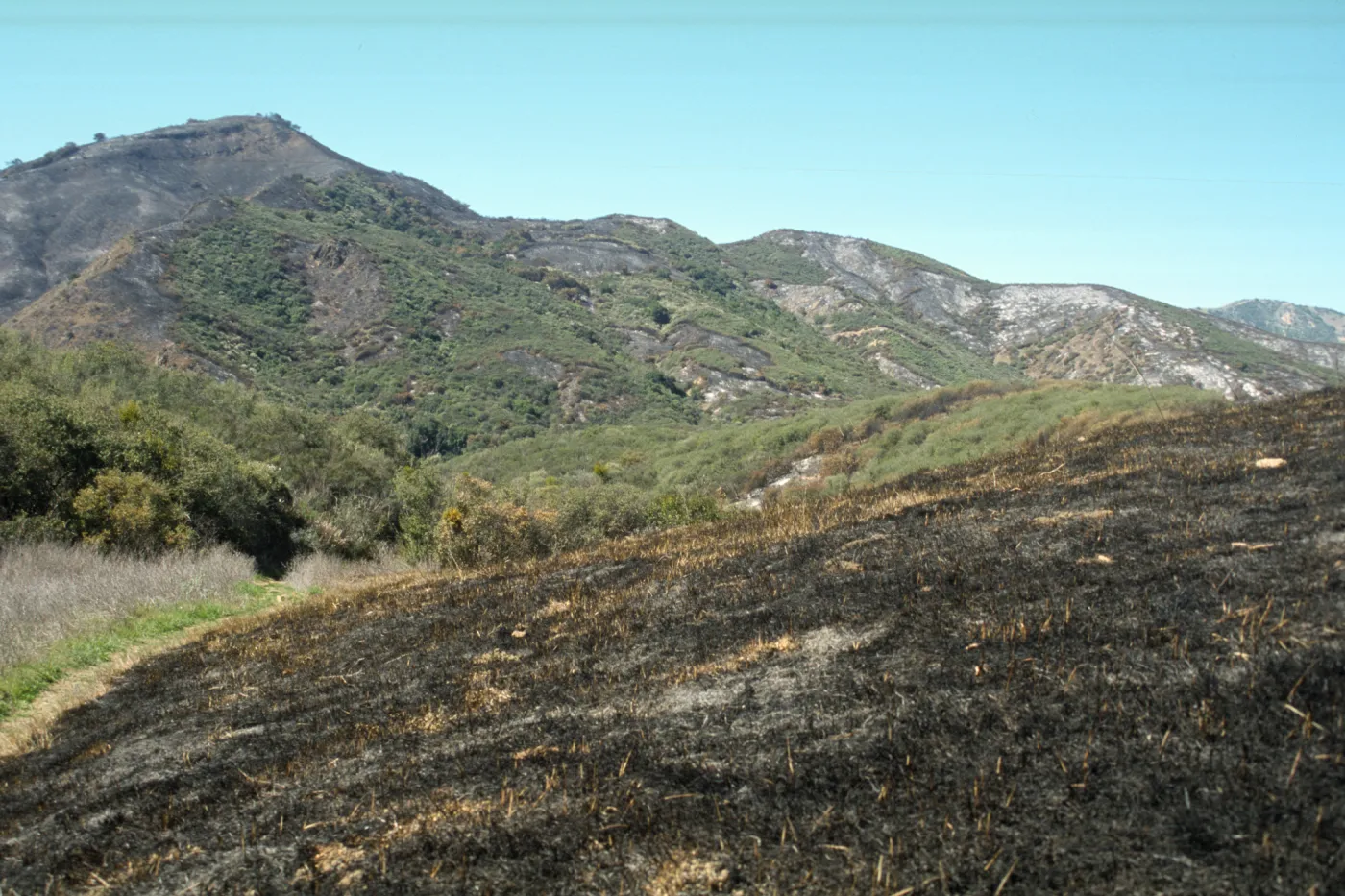 burned landscape, Sage Hill