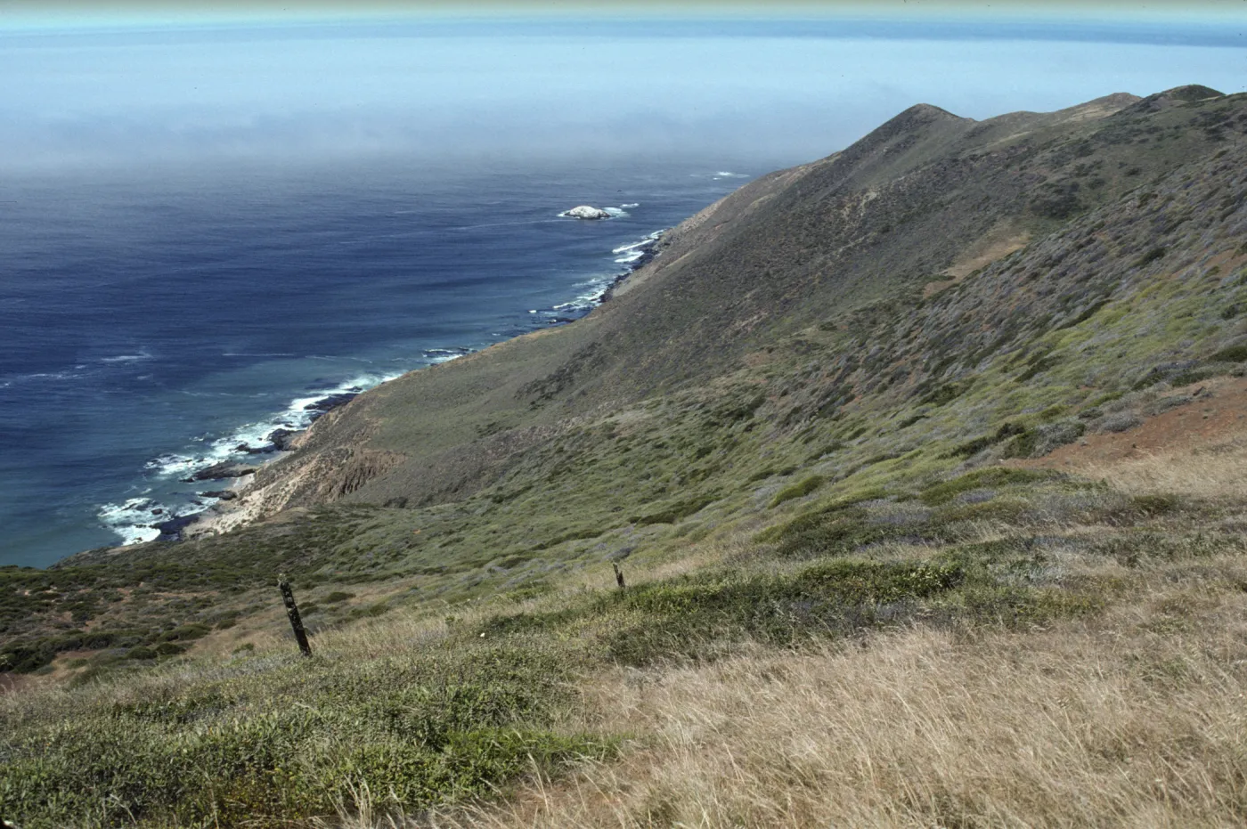 Point Sal
