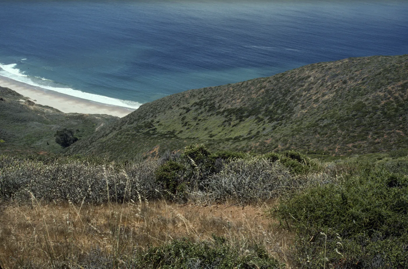 Point Sal