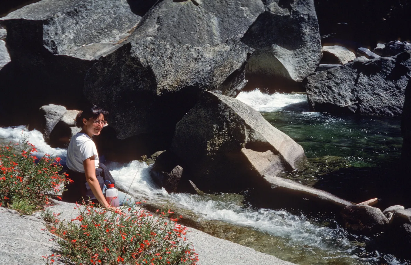 Zauschneria, Epilobium and Carol Bornstein