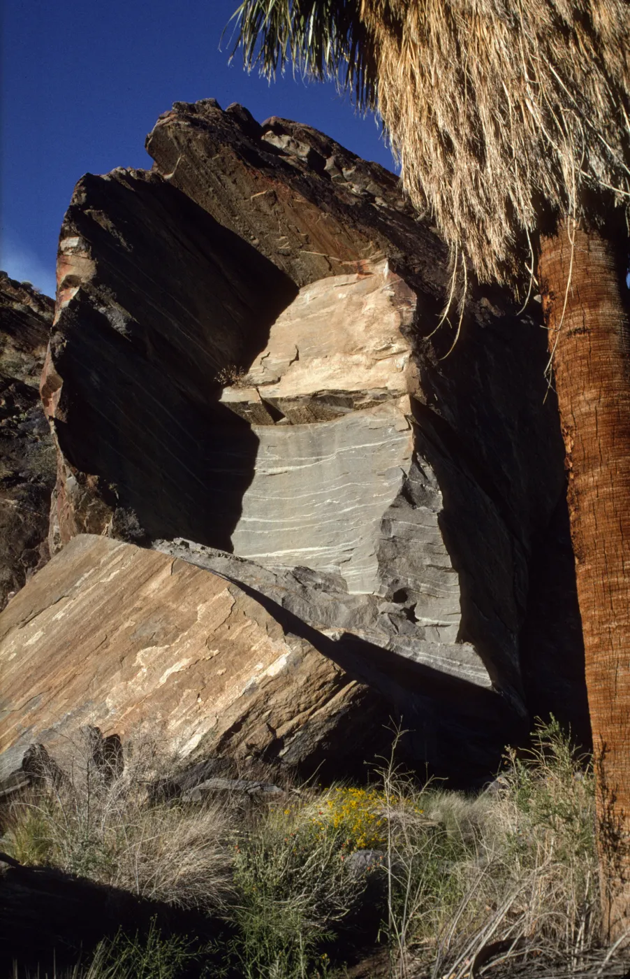 Geology, Palm Canyon