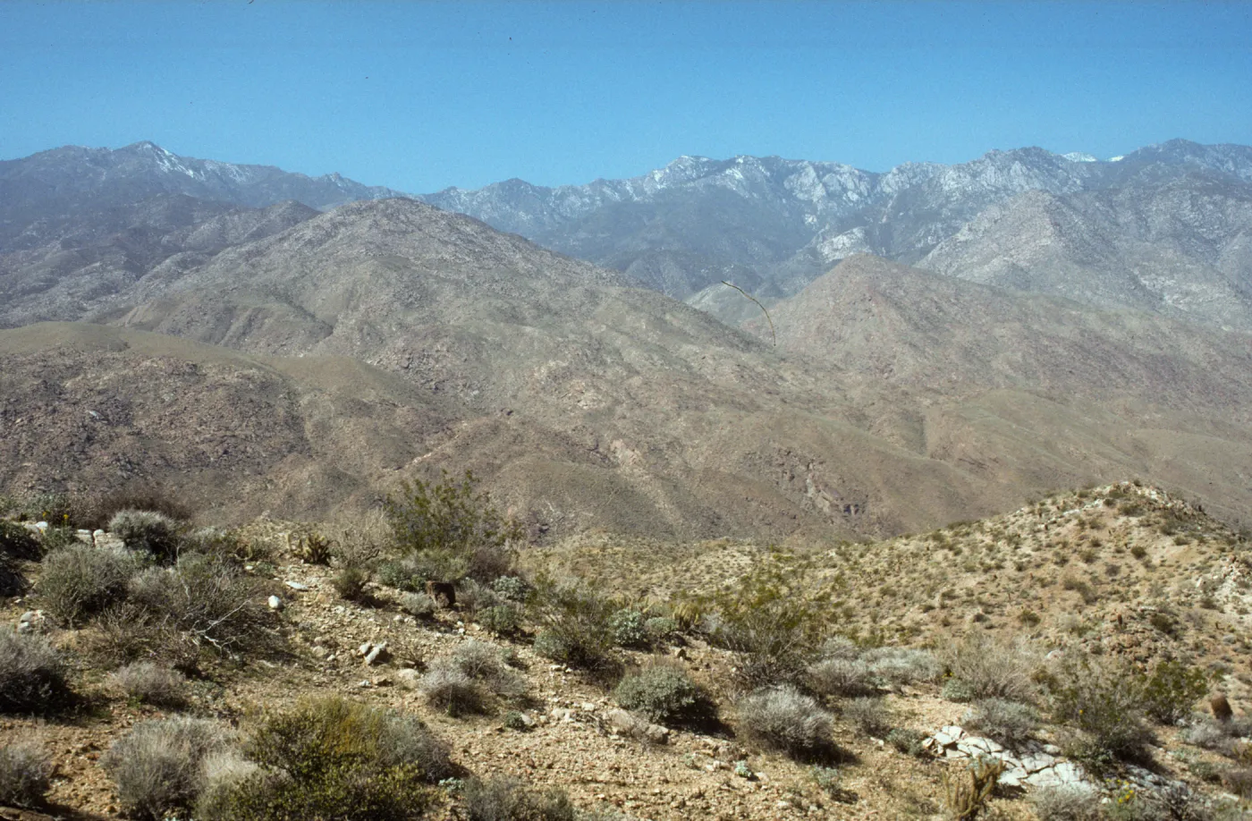 Panorama, Palm Canyon