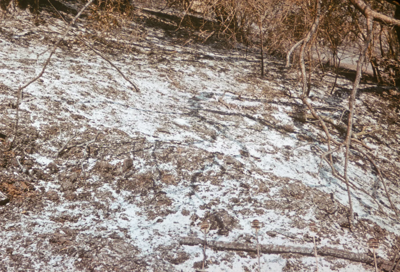 ash from the Coyote burn