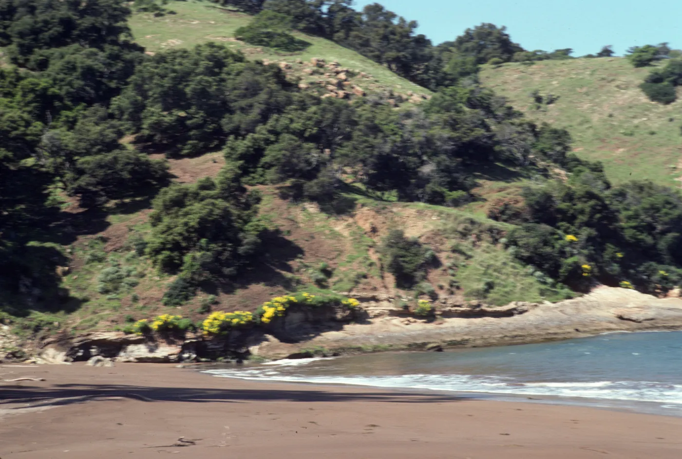 Santa Cruz Island