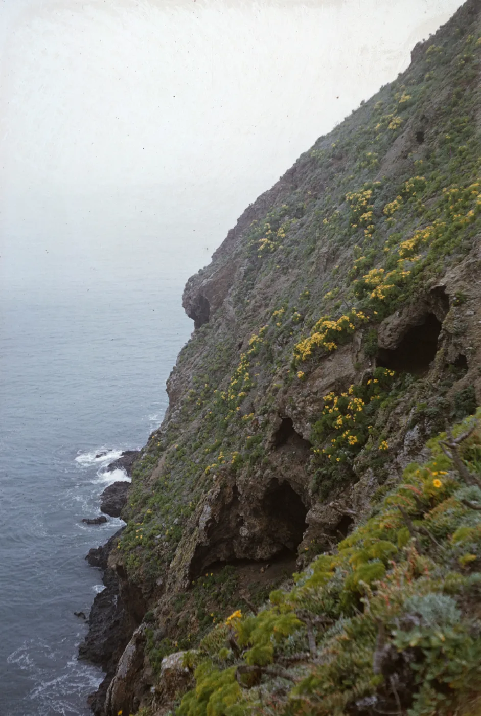 Anacapa Island