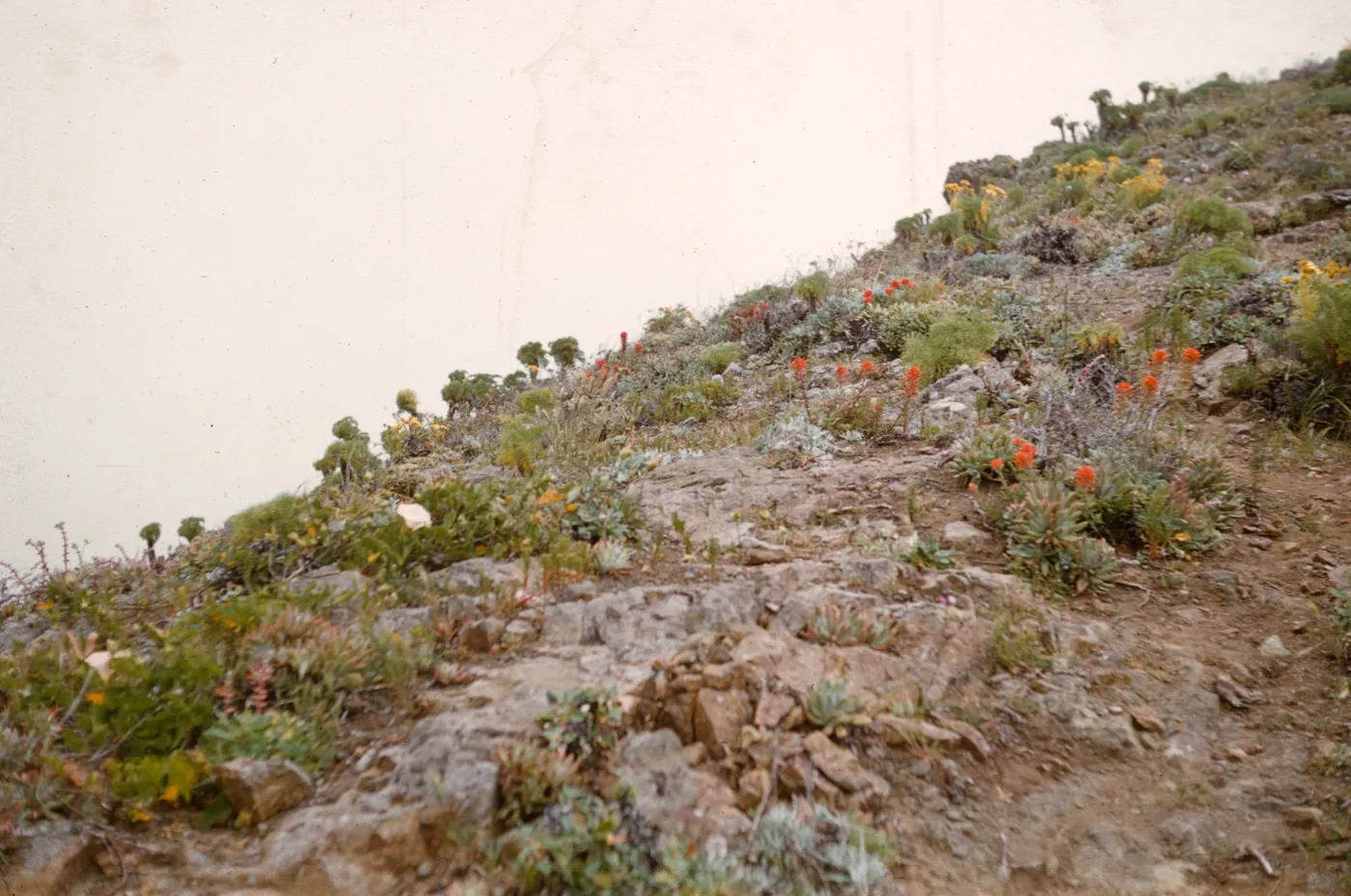 Anacapa Island
