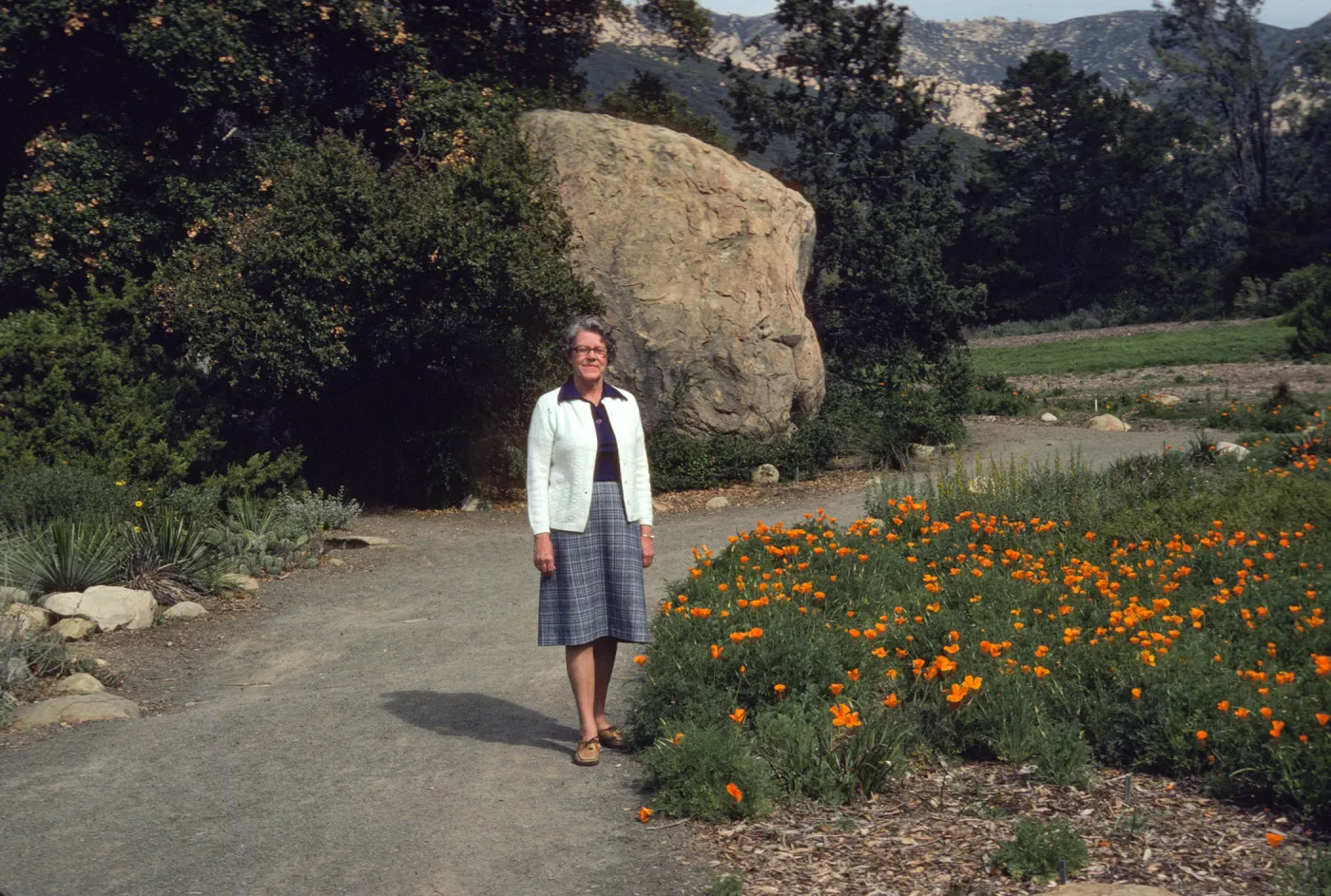 An older woman in a grey plaid shirt and white cardigan stands on a curving, gravel road next to a field of orange flowers. A large boulder sits among a copse of dark green trees behind her, on the other side of the road. 