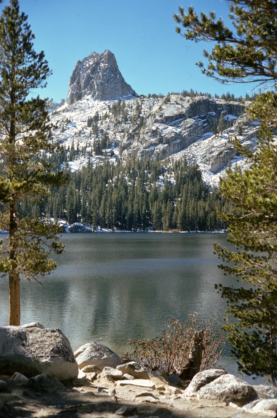 A pine forest grows on the far side of a lake at the base of snow covered mountains. In the distance, a distinctive mountain peak juts high above the surrounding mountains. 