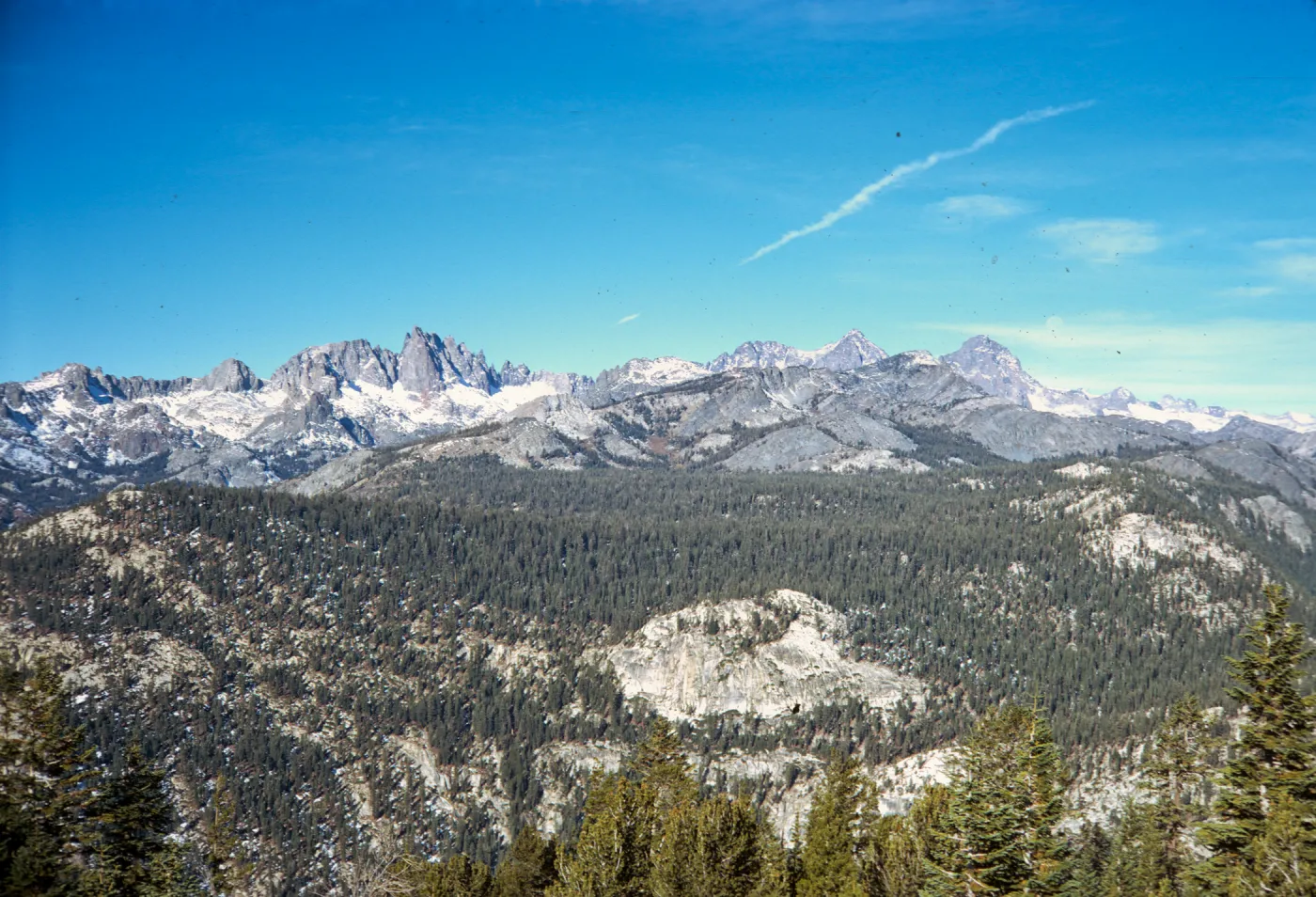 An evergreen forest grows at the foot of and between a range of sharp, grey, snowy mountains. 