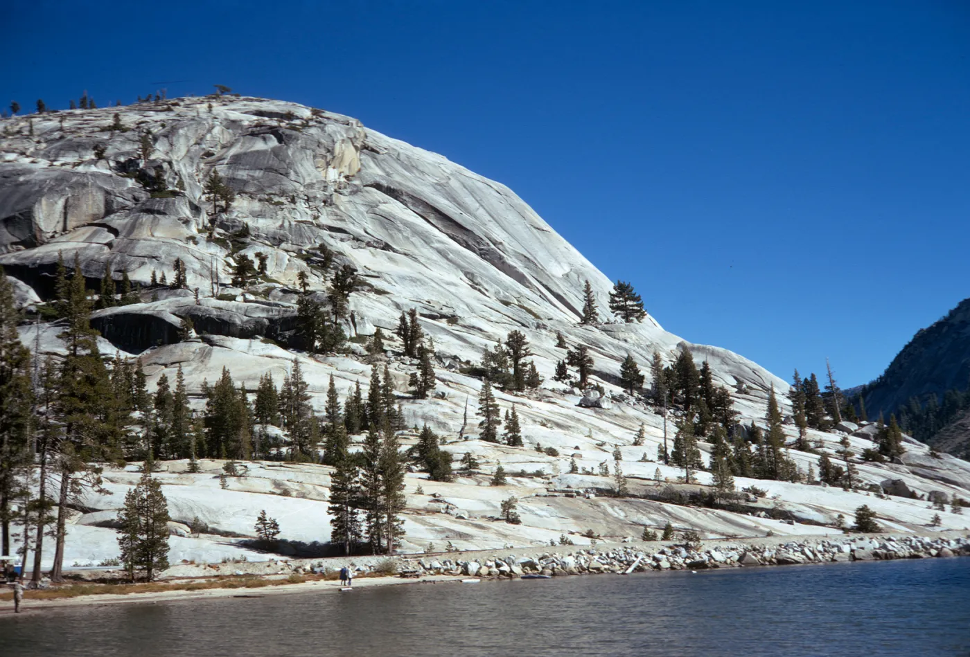 A smooth, rounded, white and grey stoned mountain dotted with pine trees on the far side of a calm lake. 
