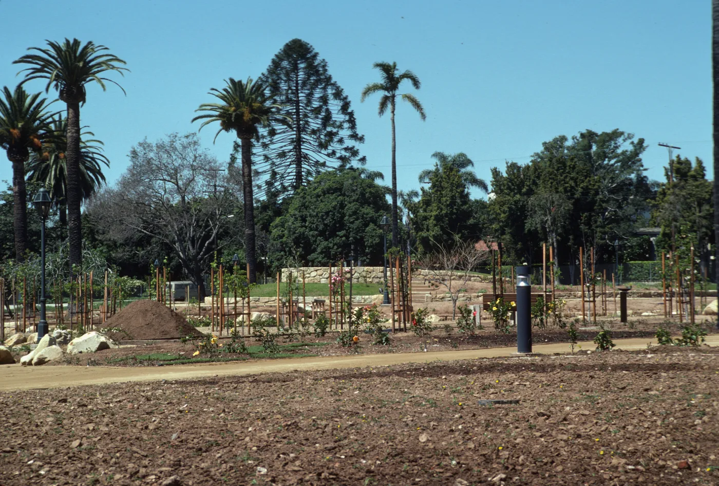 Young trees supported by trellises and smaller plants flowering in yellows and reds grow in soil beds between stone paths... 