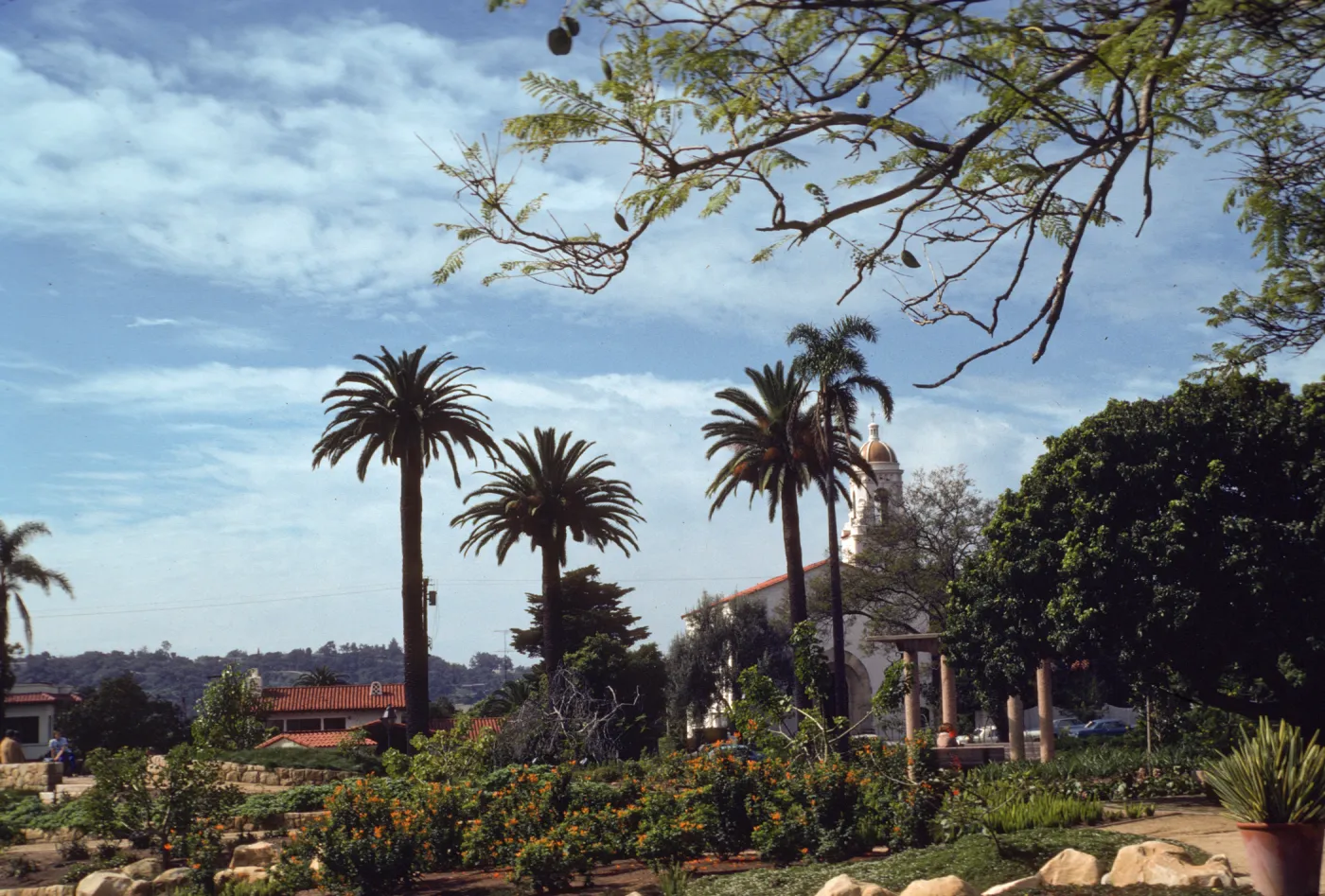 A path runs between tiered plant beds retained by stone walls. Orange-flowered bushes and tall palm trees grow in the beds, in front of a white building with a steeple. 