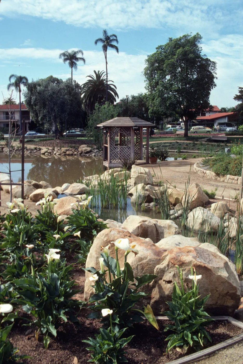 A stream lined by large stones and and dotted with green, reedy plants runs between a bed of white calla lilies and a wide path before emptying into a large pond. A wooden gazebo juts out over the pond at a bend in the path. 