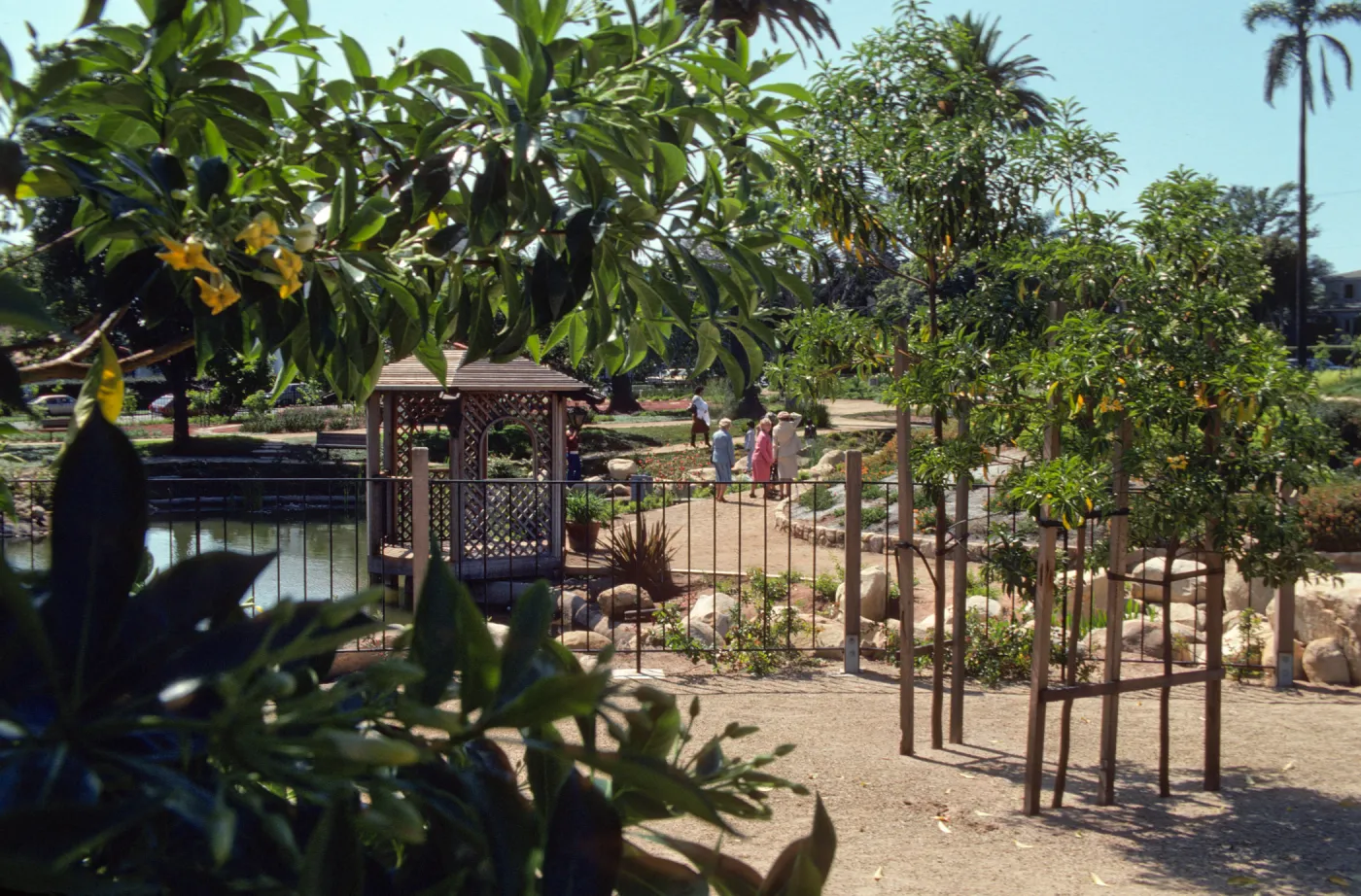 A group of several women in suits walk down a path between a bed of bushes and orange flowers and a wooden gazebo that juts out over a large pond. A few young, slender trees supported on trellises are visible in the foreground. 