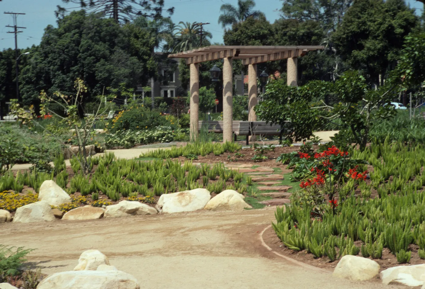 Dirt and stepping stone paths cross garden beds full of large stones, flowering bushes, small trees and assorted short plants. Two benches sit under a pergola along one of the paths. 