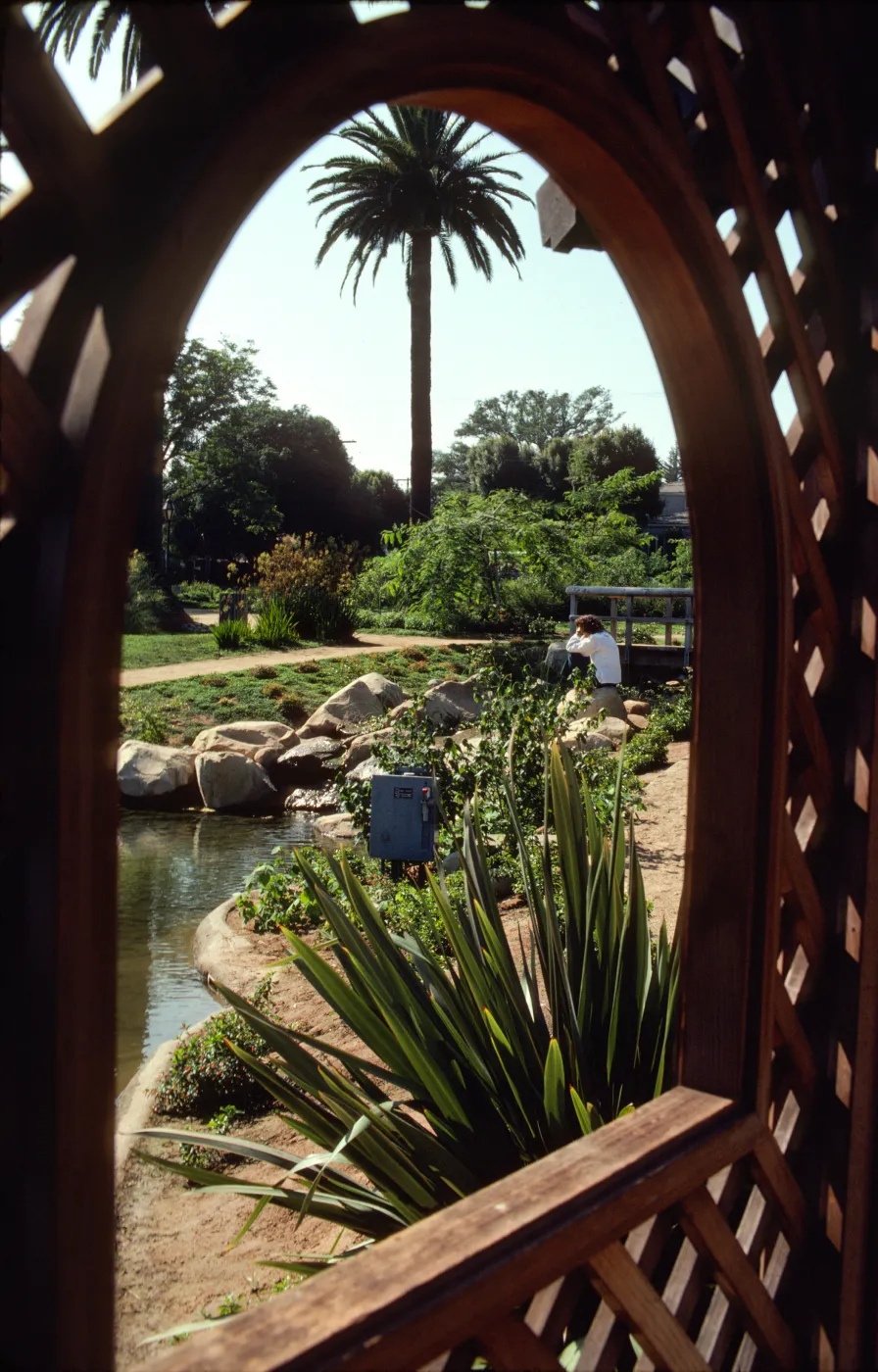 The bank of a pond viewed through a lattice window. An electrical box stands among plants on the edge of the water. A person in a white shirt stands among the plants in front of a wooden bridge. 