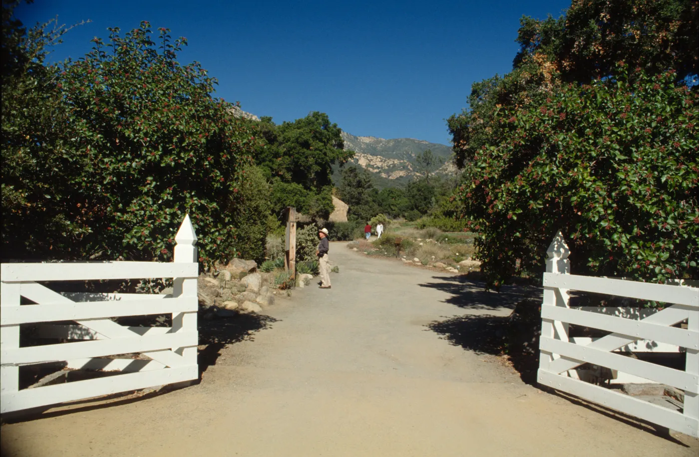 SBBG courtyard gate, view to Meadow, old bulletin board