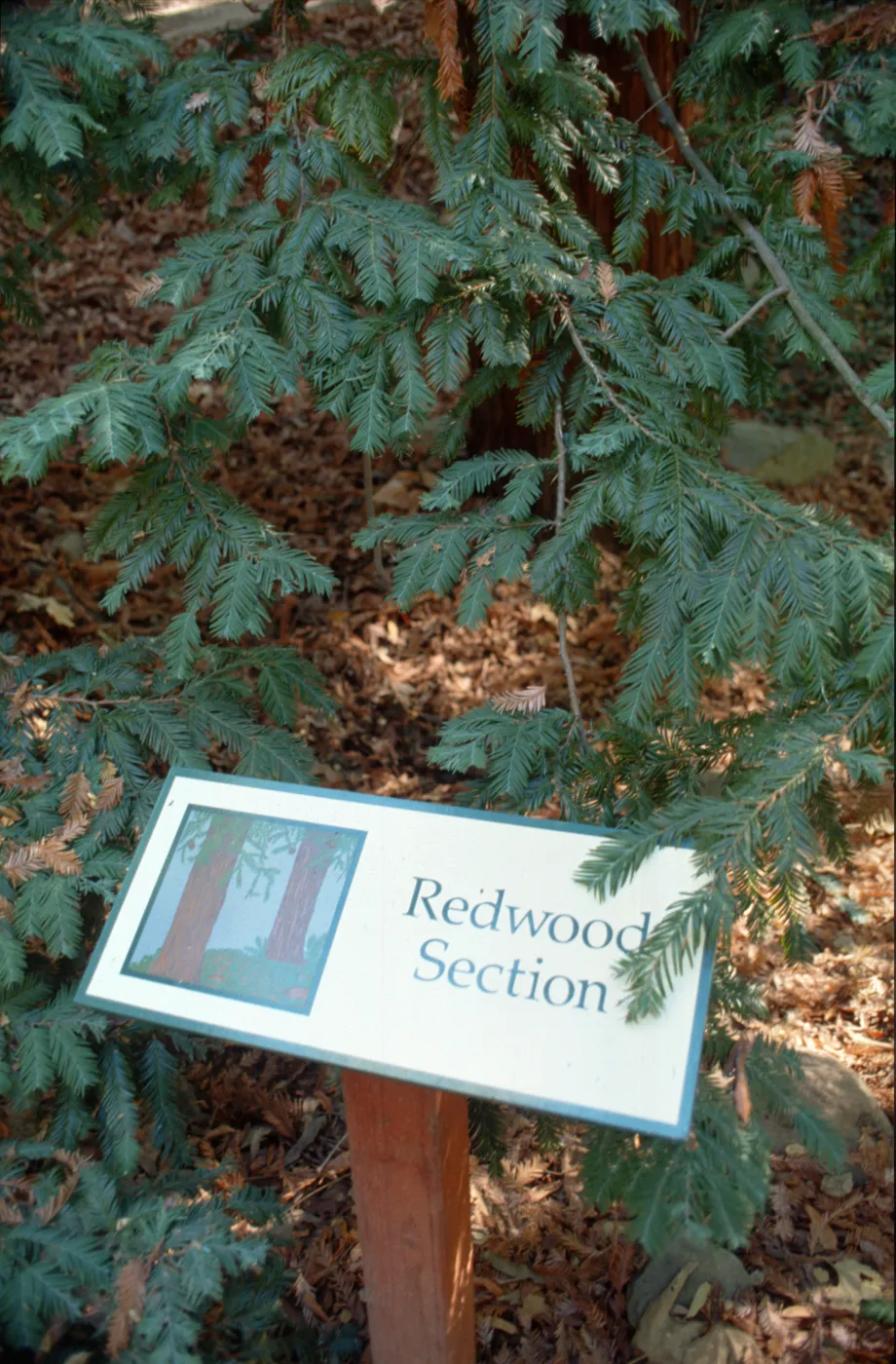 Redwood Section sign