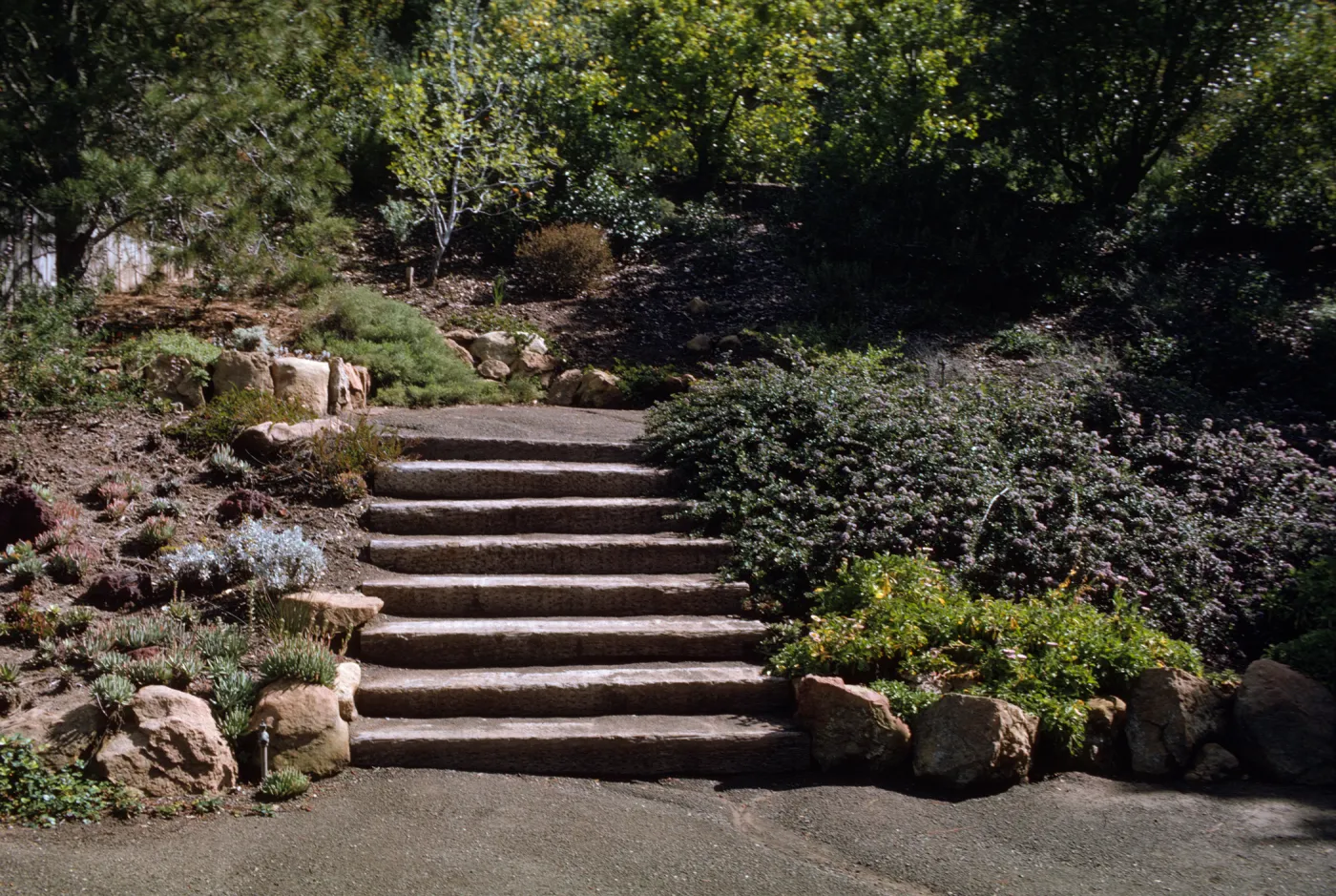 SBBG, Meadow View steps