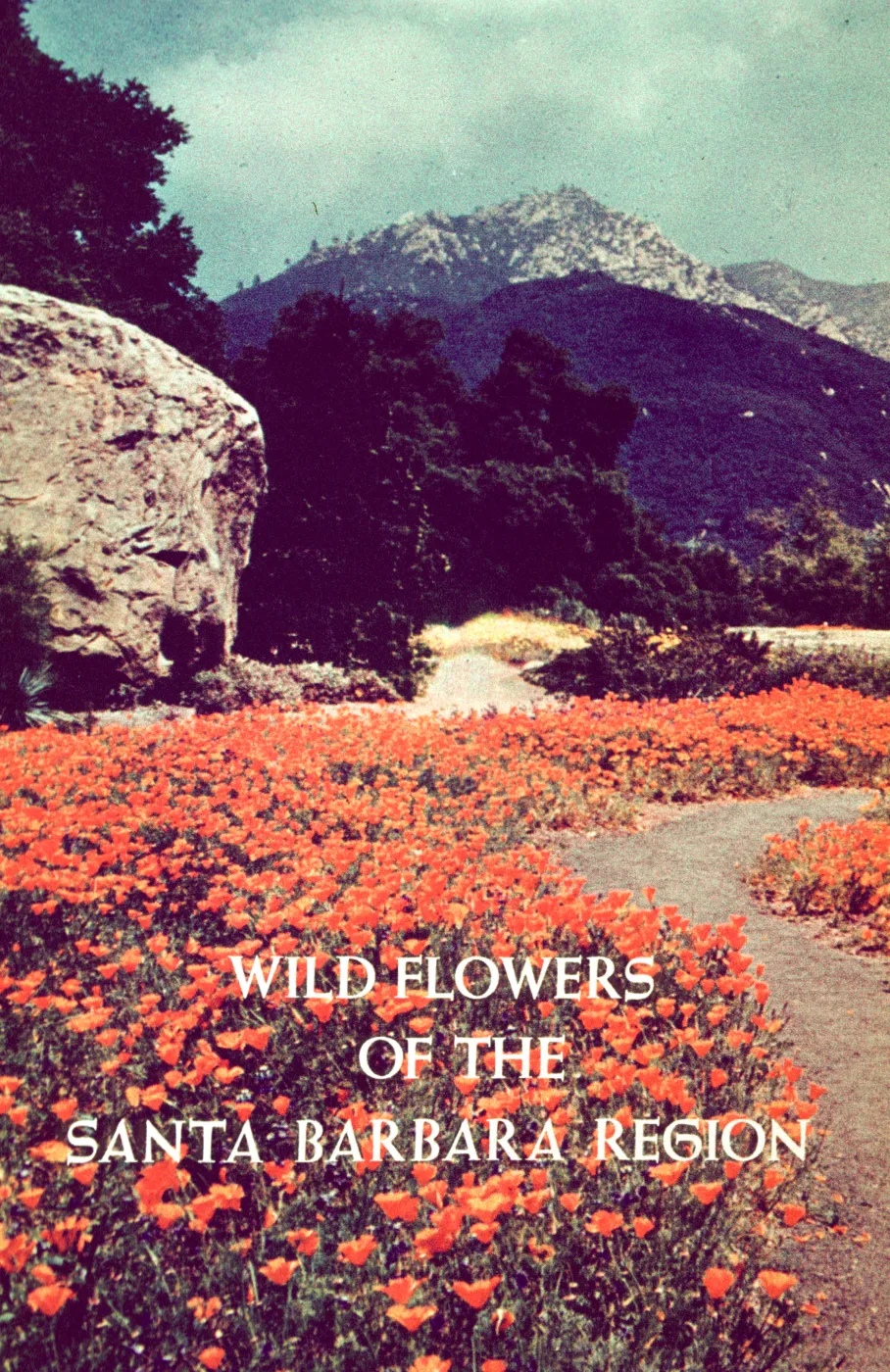 Wildflowers of the Santa Barbara Region, book cover