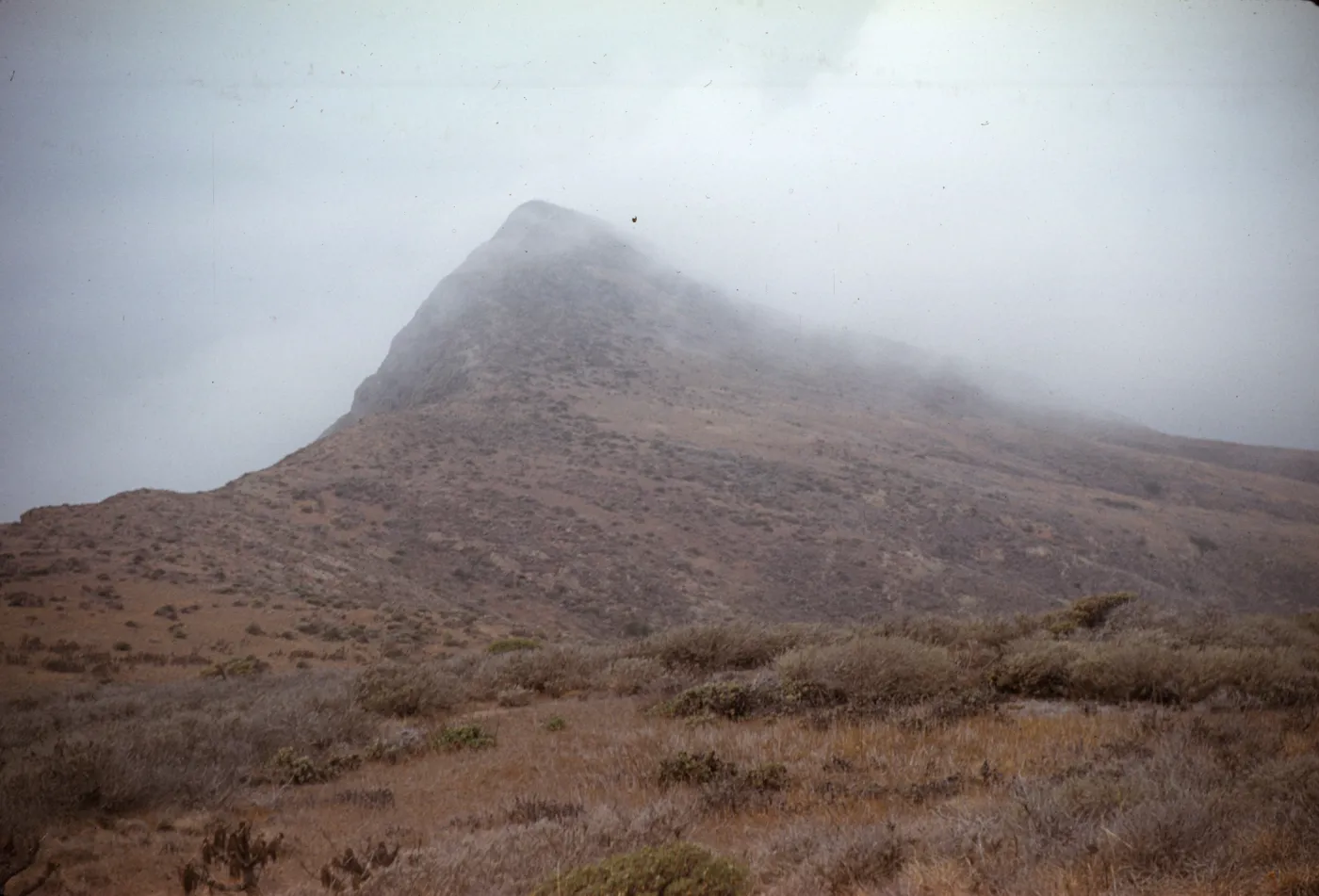 Fog drifting across highest peak, West Anacapa Island
