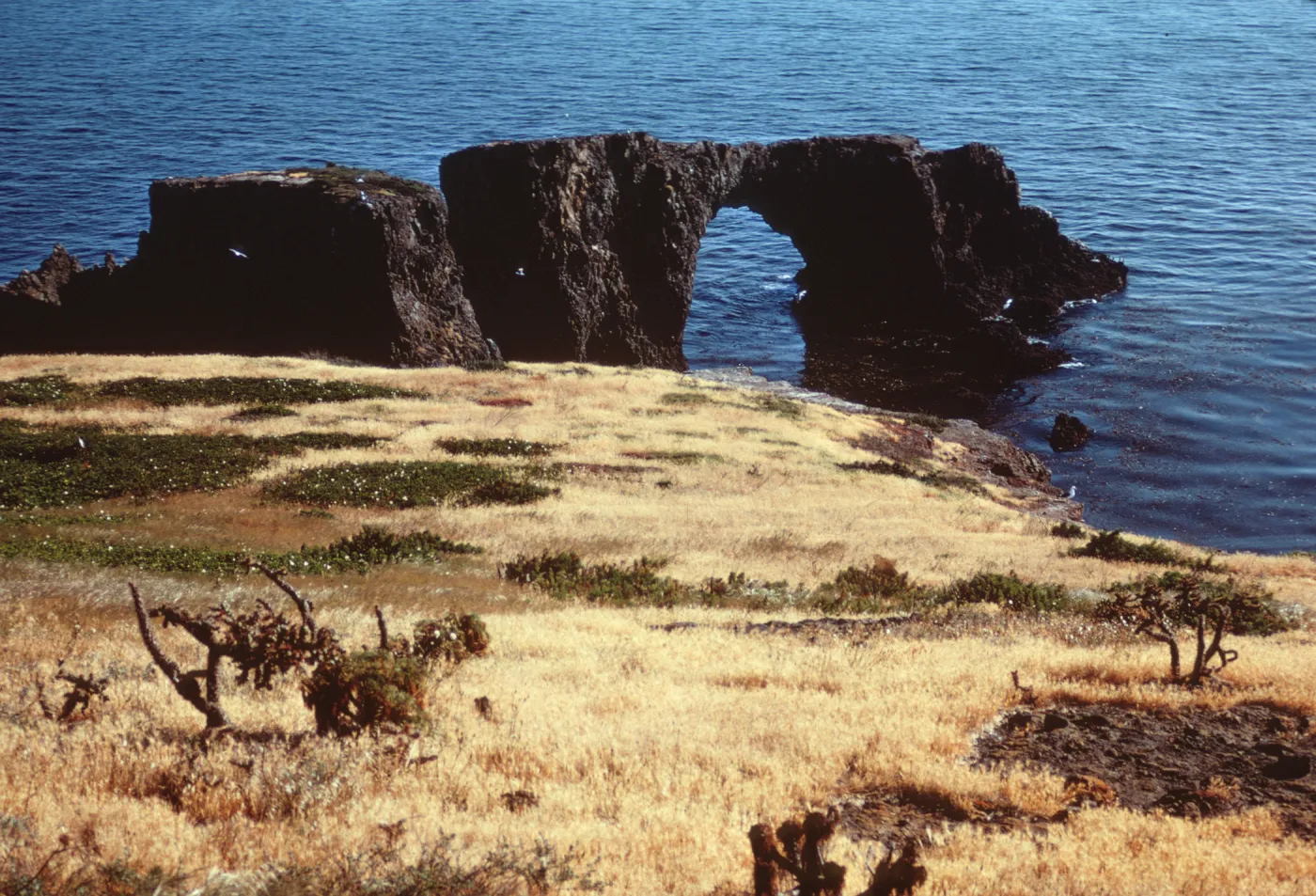 East anacapa Island, Arch Rock from SW