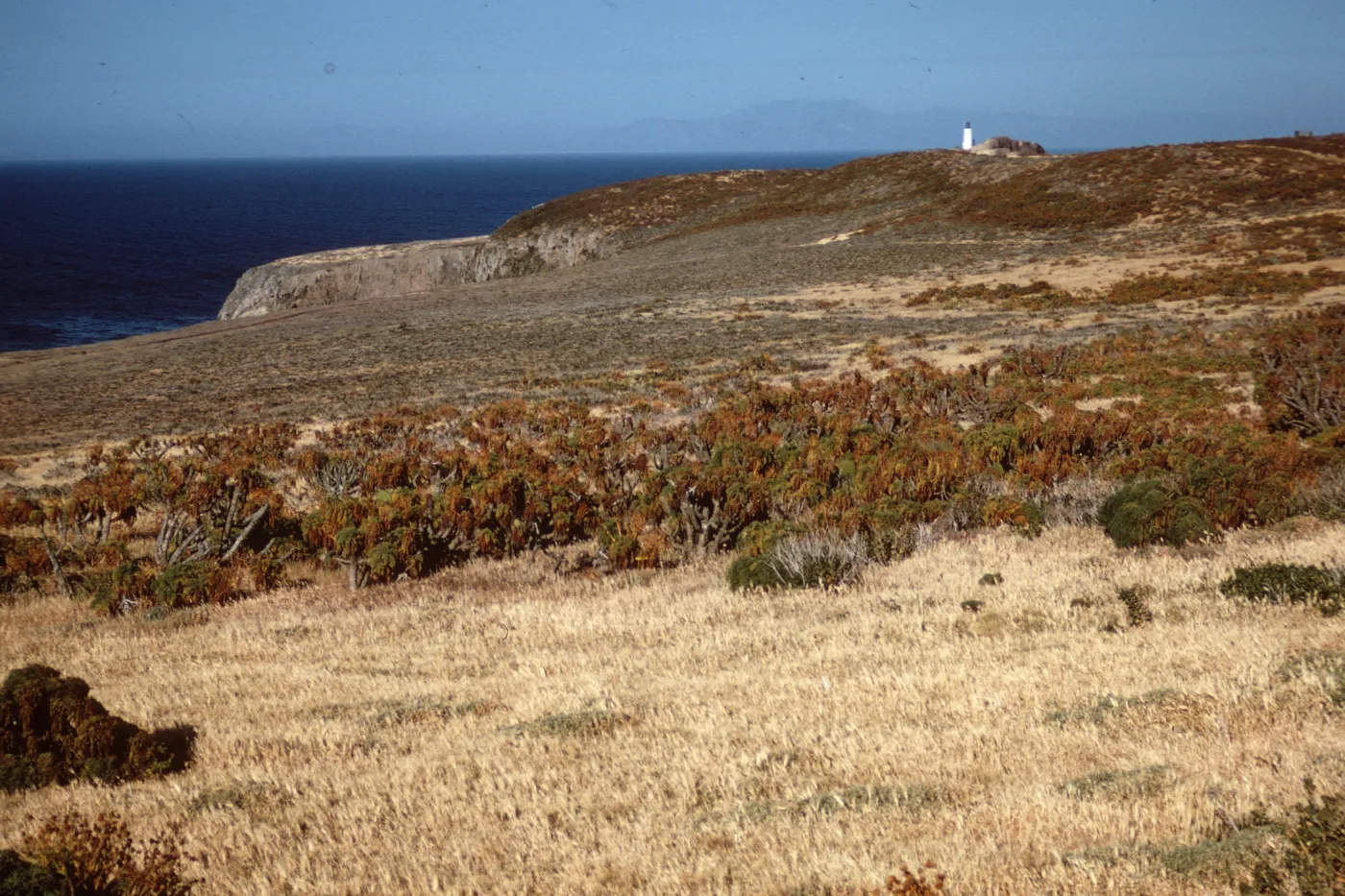East Anacapa Island, looking East