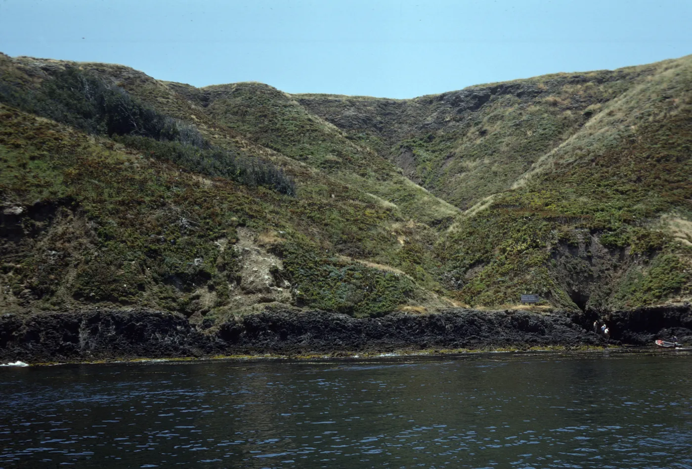 Middle Anacapa Island, Sheep Ranch