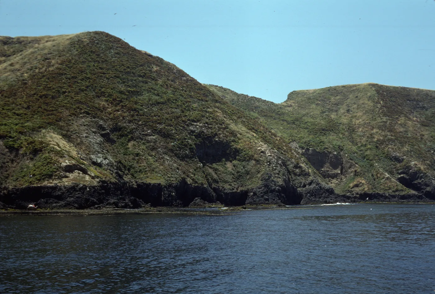 Middle Anacapa Island, just West of Sheep Ranch