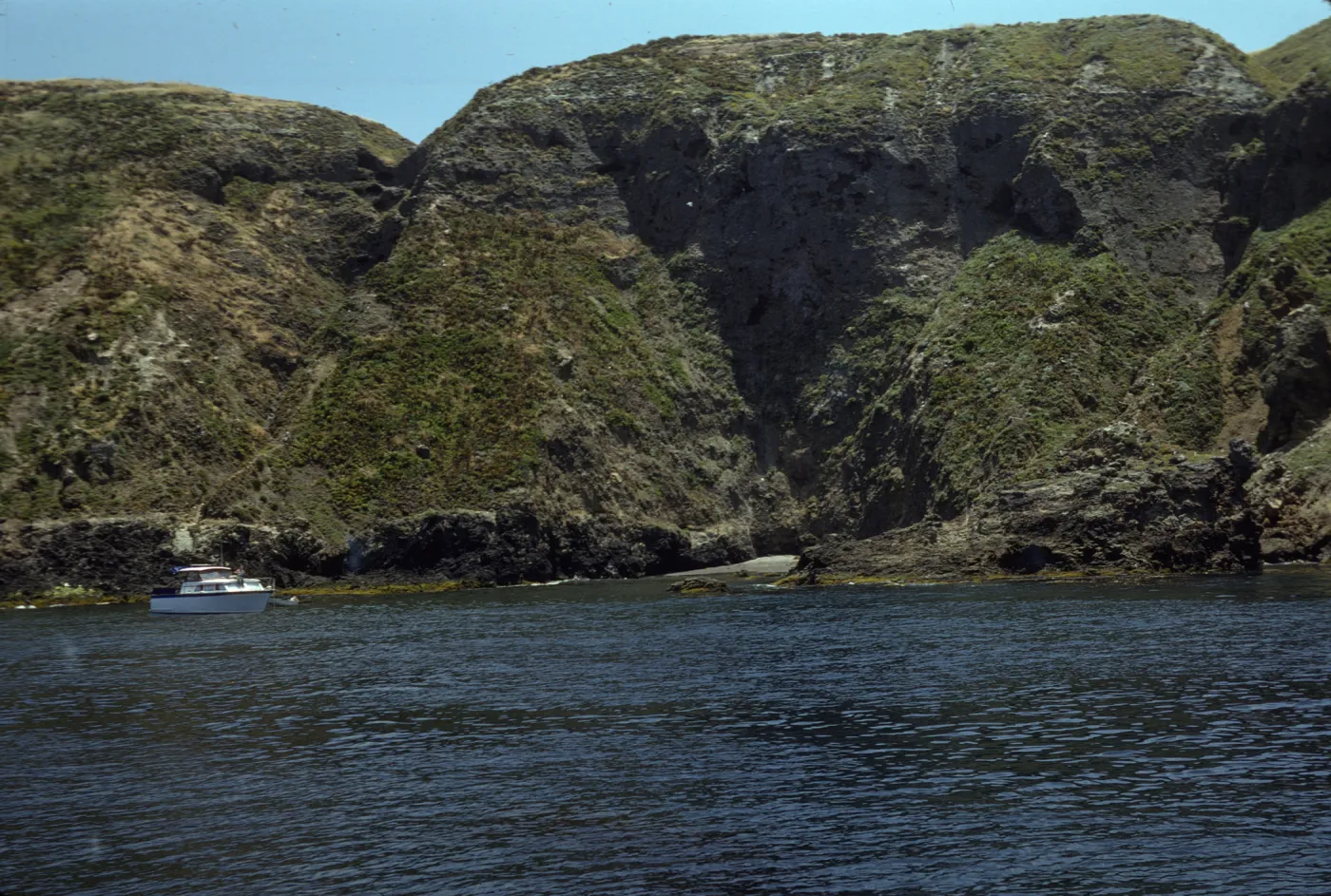 Middle Anacapa Island, just East of Sheep Ranch