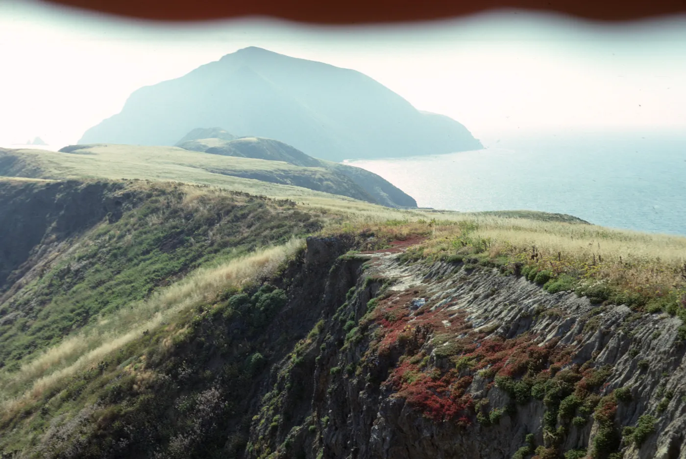 Middle Anacapa Island, Cat Rock, bluff Slump