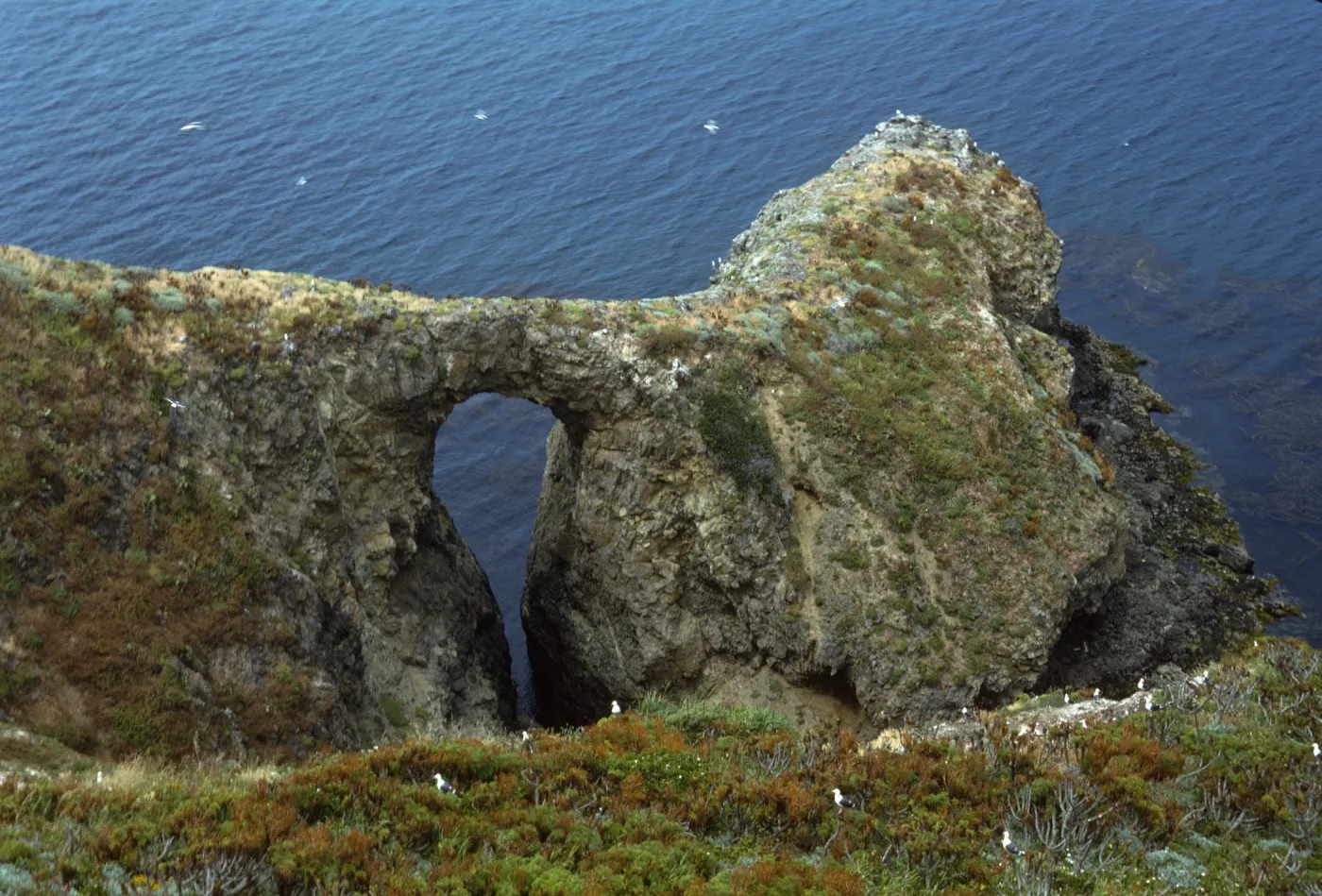 Middle Anacapa Island, Arch West of Sheep Ranch