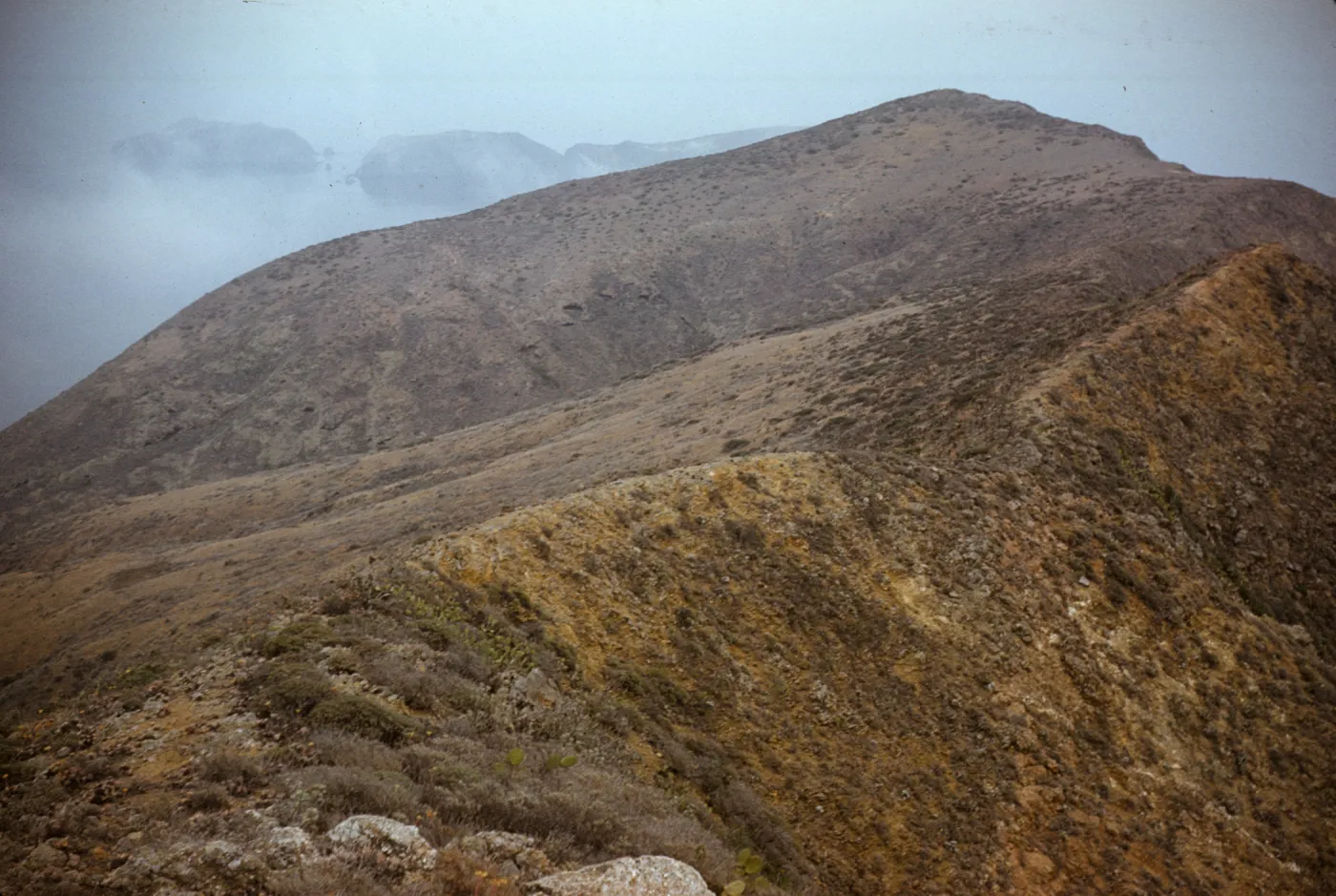 Along ridge looking east from highest point on West Anacapa Island