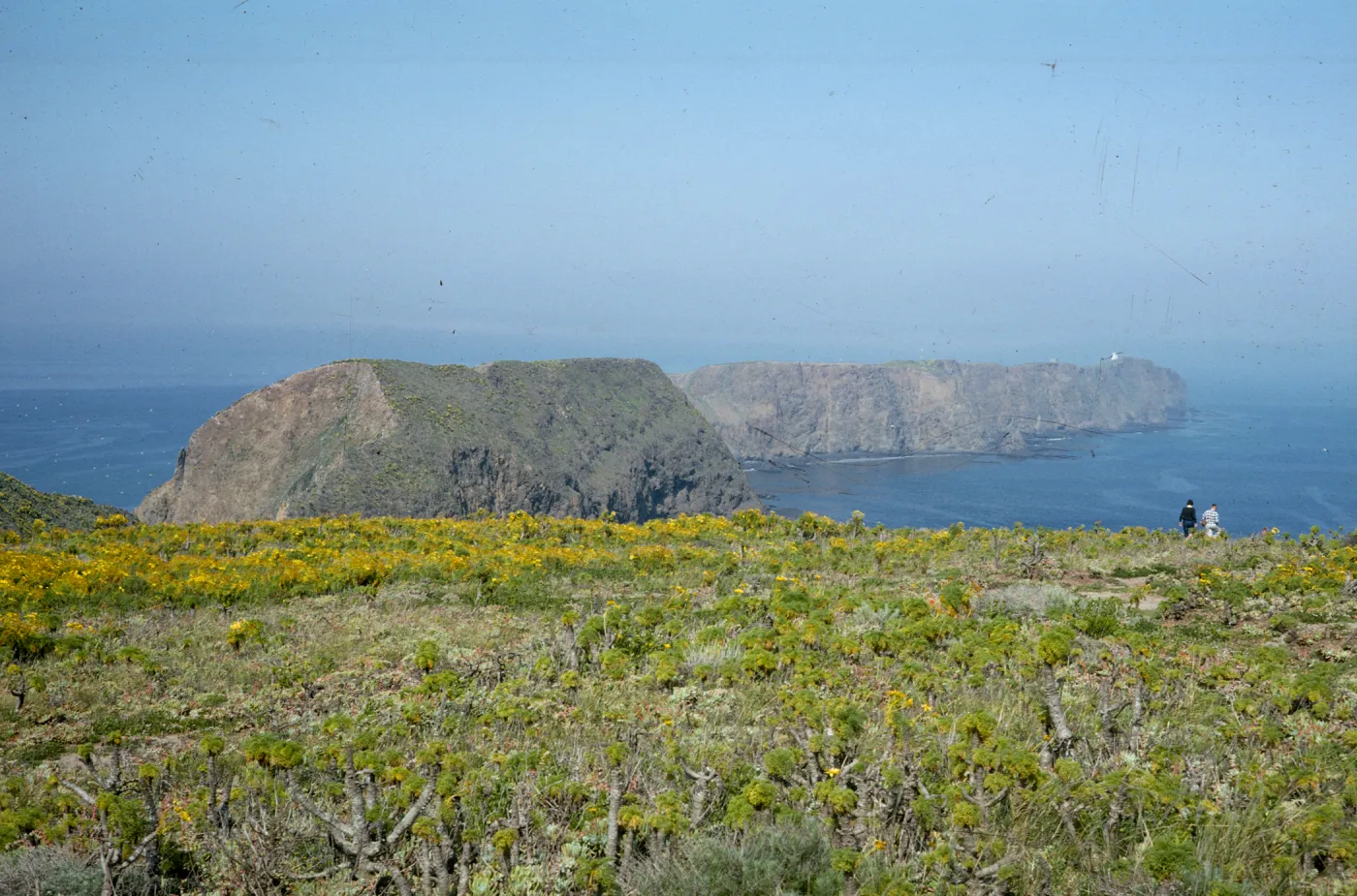 Lighthouse from Middle Anacapa Island