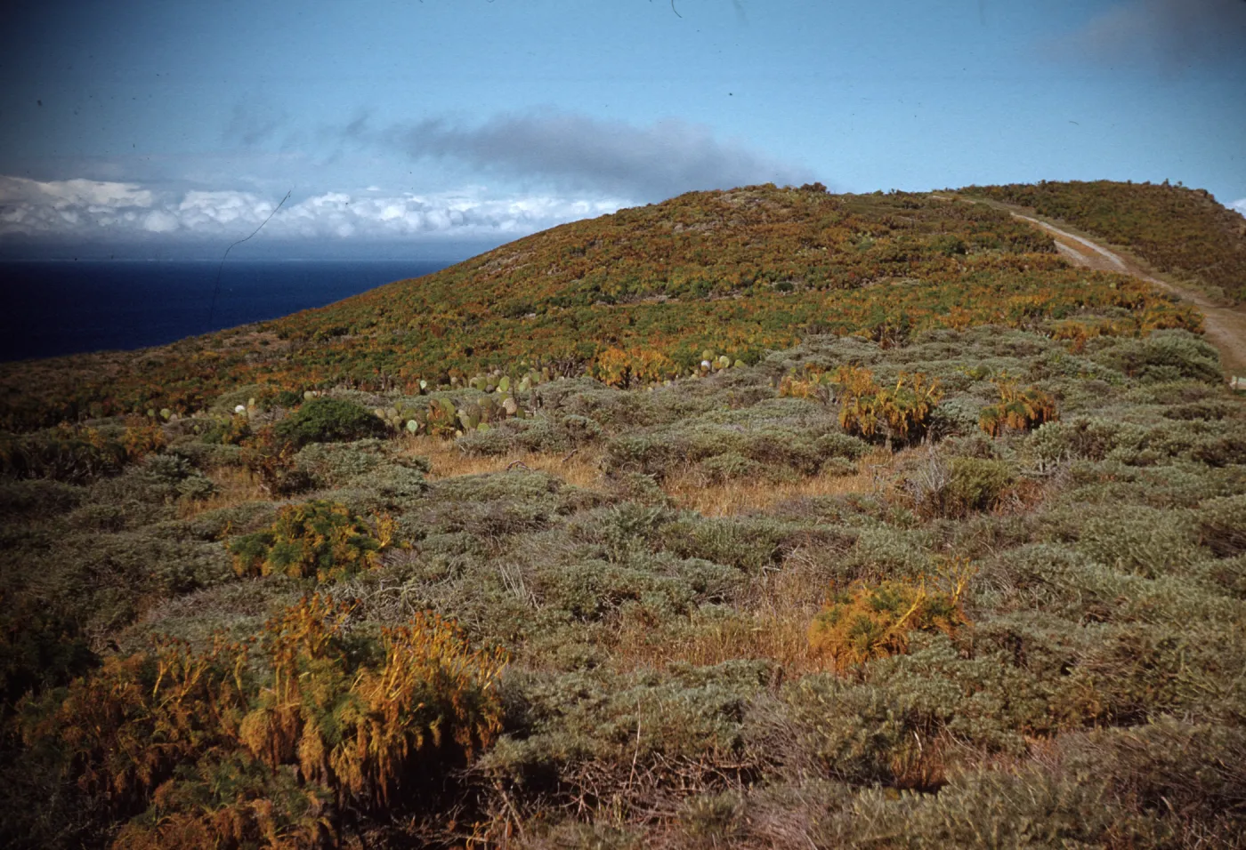 Looking east toward Indian Shell Mound center of Anacapa Island