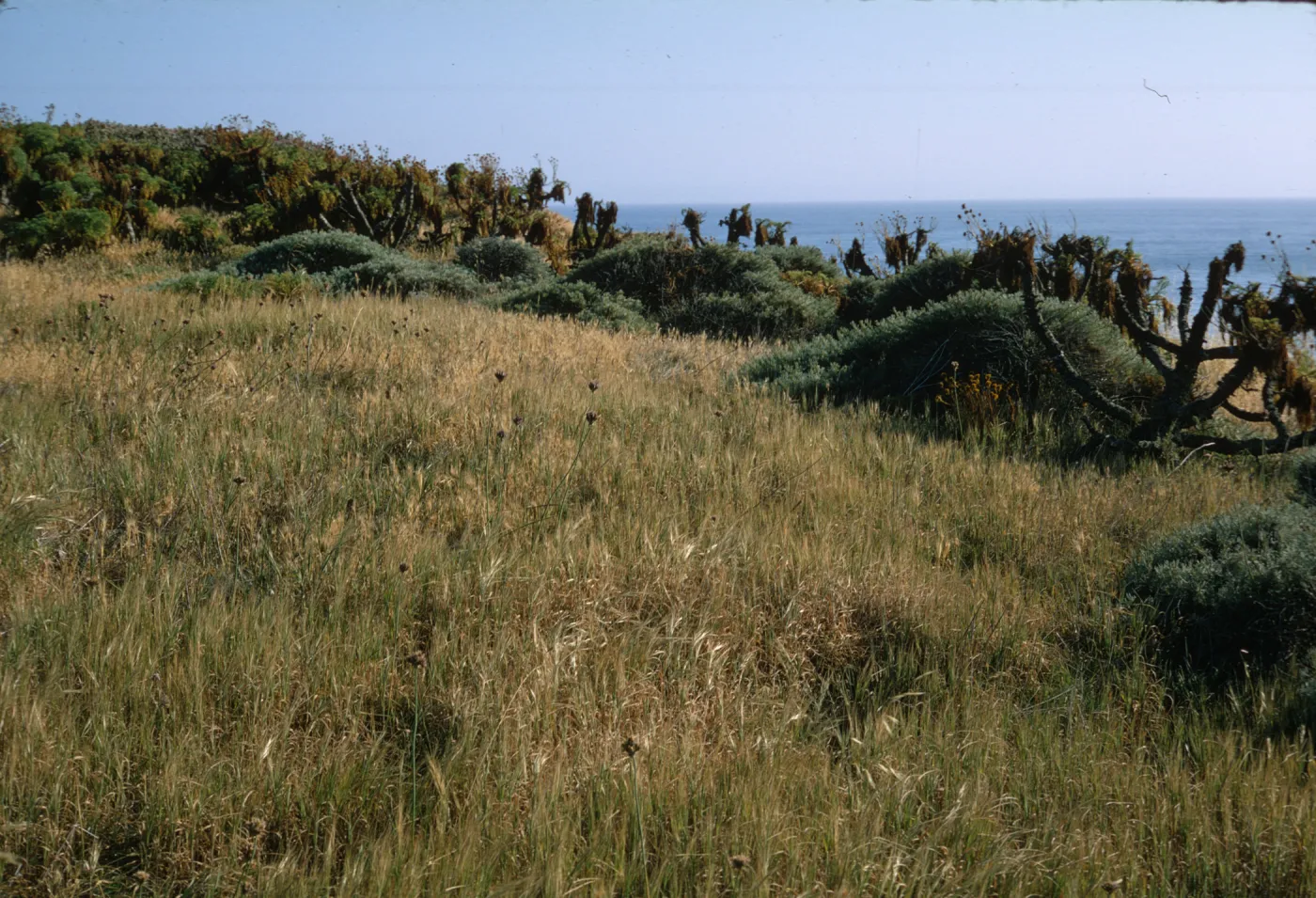 Anacapa Island